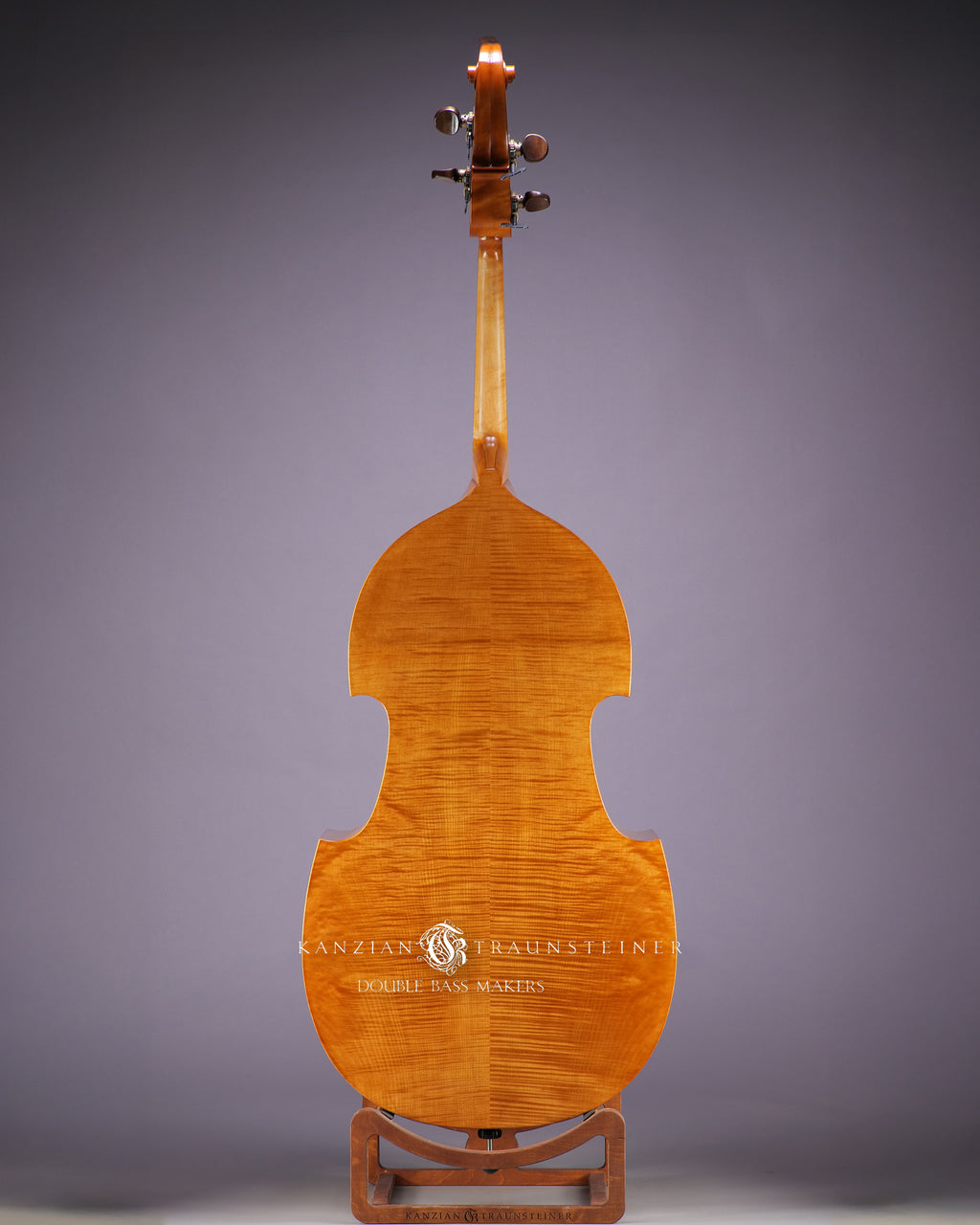 2022 Viennese K&T golden varnish - back wide