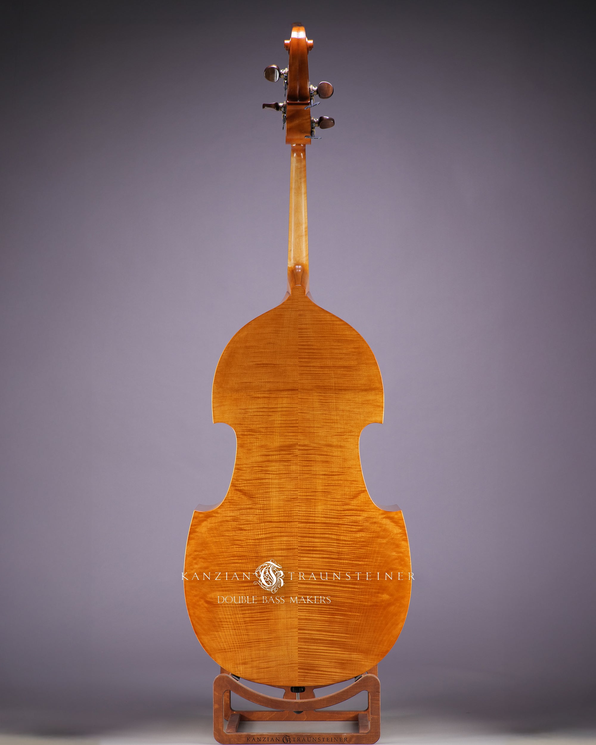 2022 Viennese K&T golden varnish - back wide