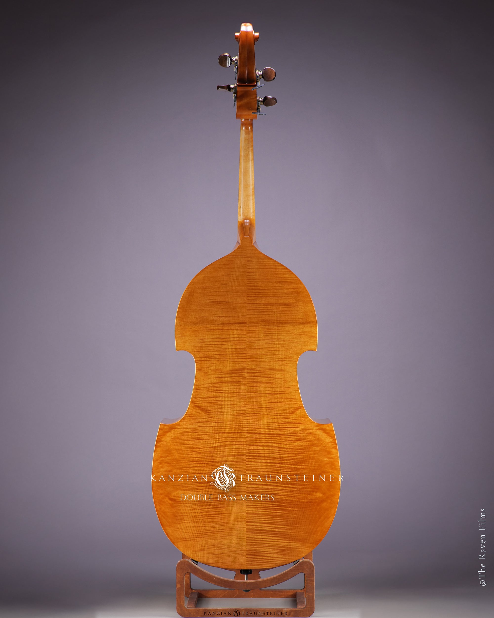 2022 Viennese K&T golden varnish full back view