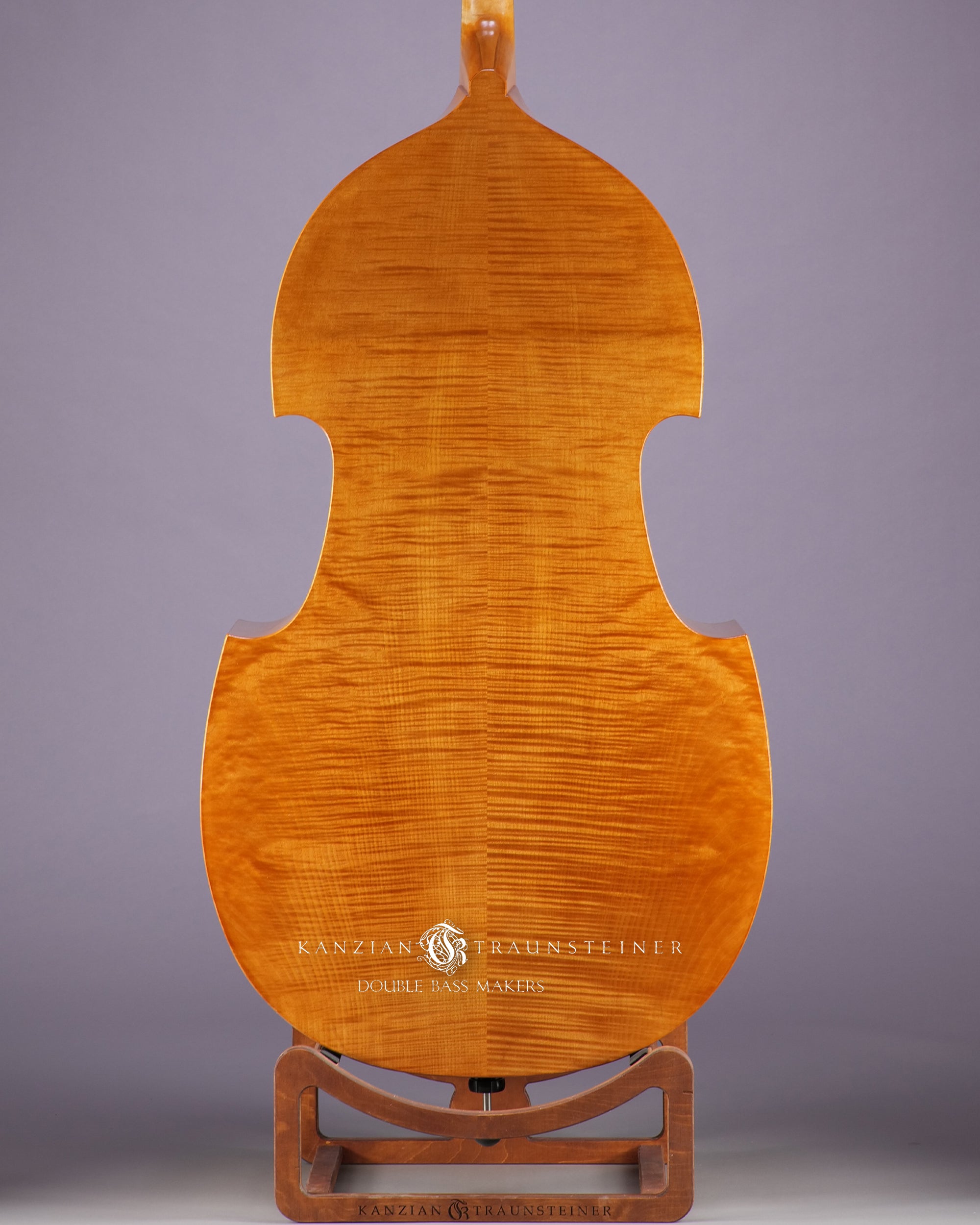 2022 Viennese K&T golden varnish - back zoomed view