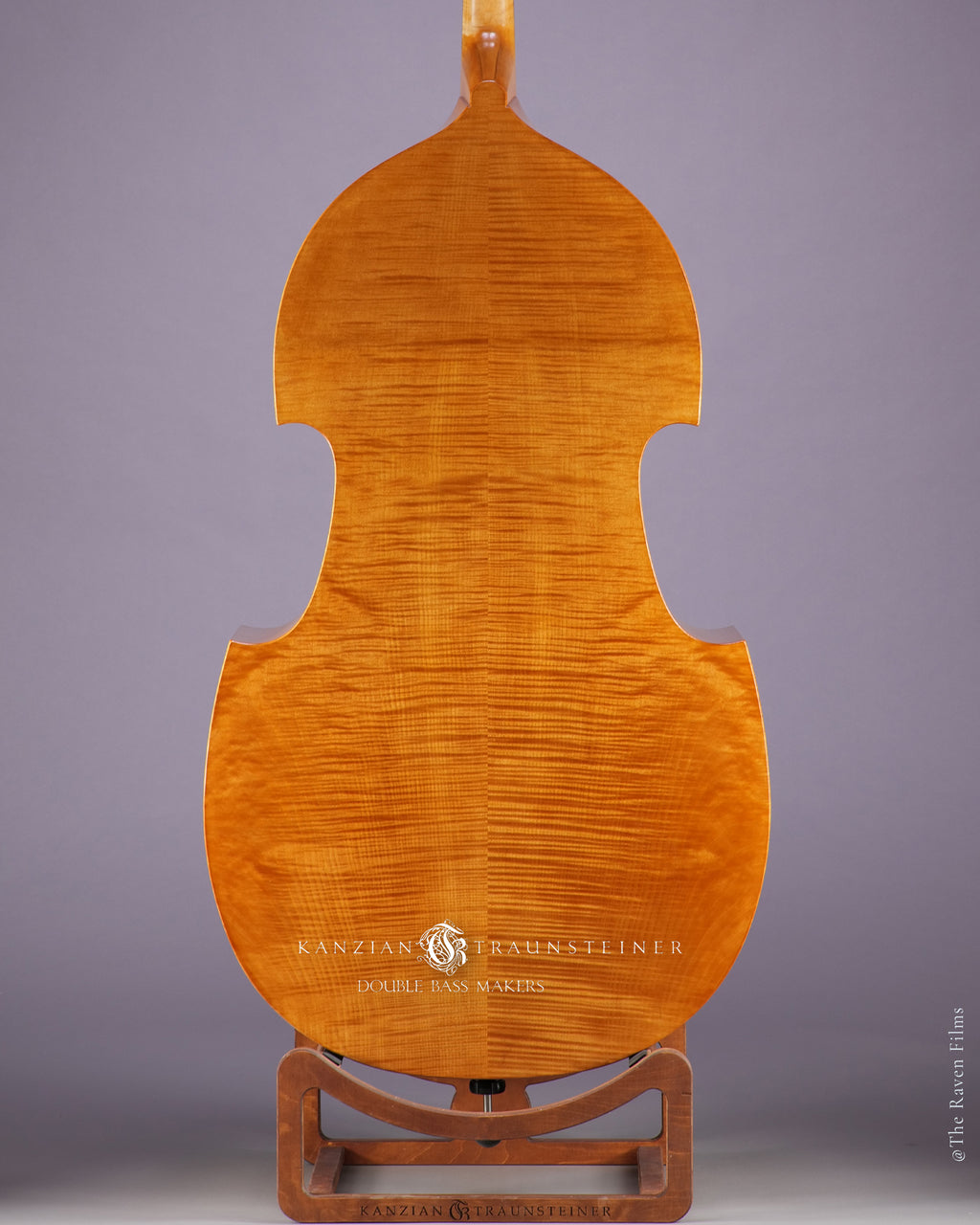 zoomed back view of 2022 Viennese K&T golden varnish 