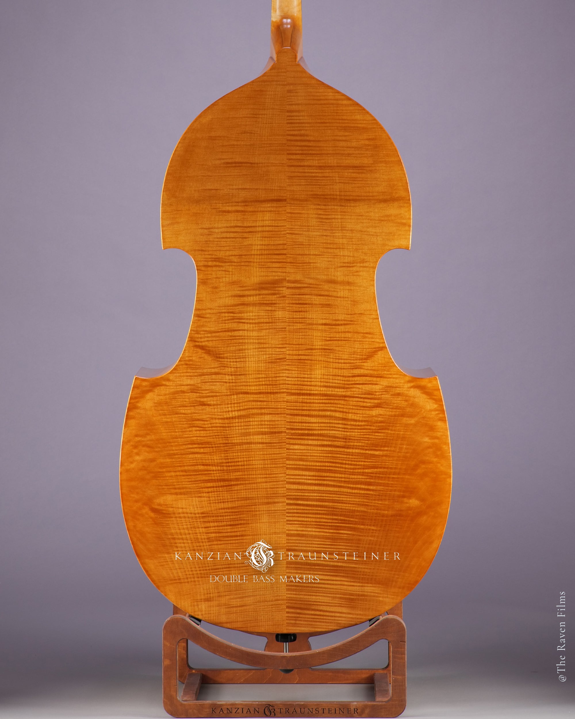 zoomed back view of 2022 Viennese K&T golden varnish 