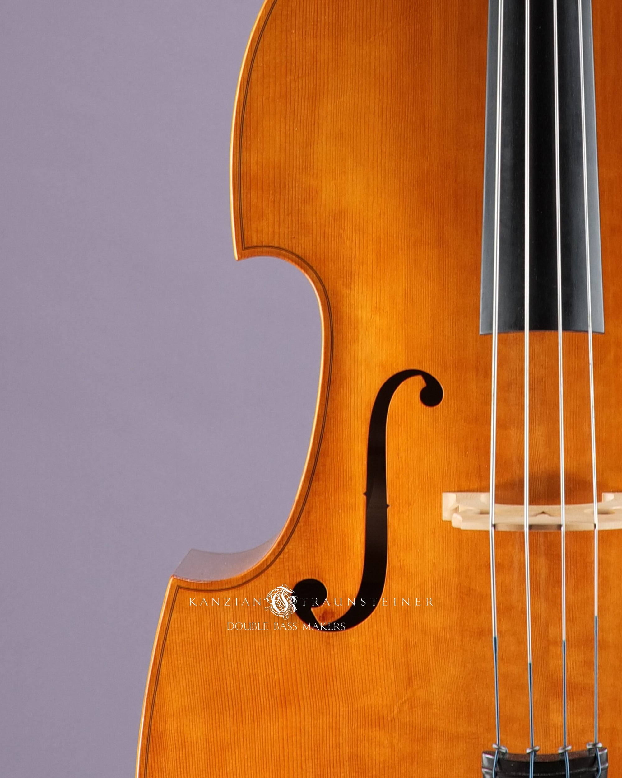 2022 Viennese K&T golden varnish - F right zoomed detail