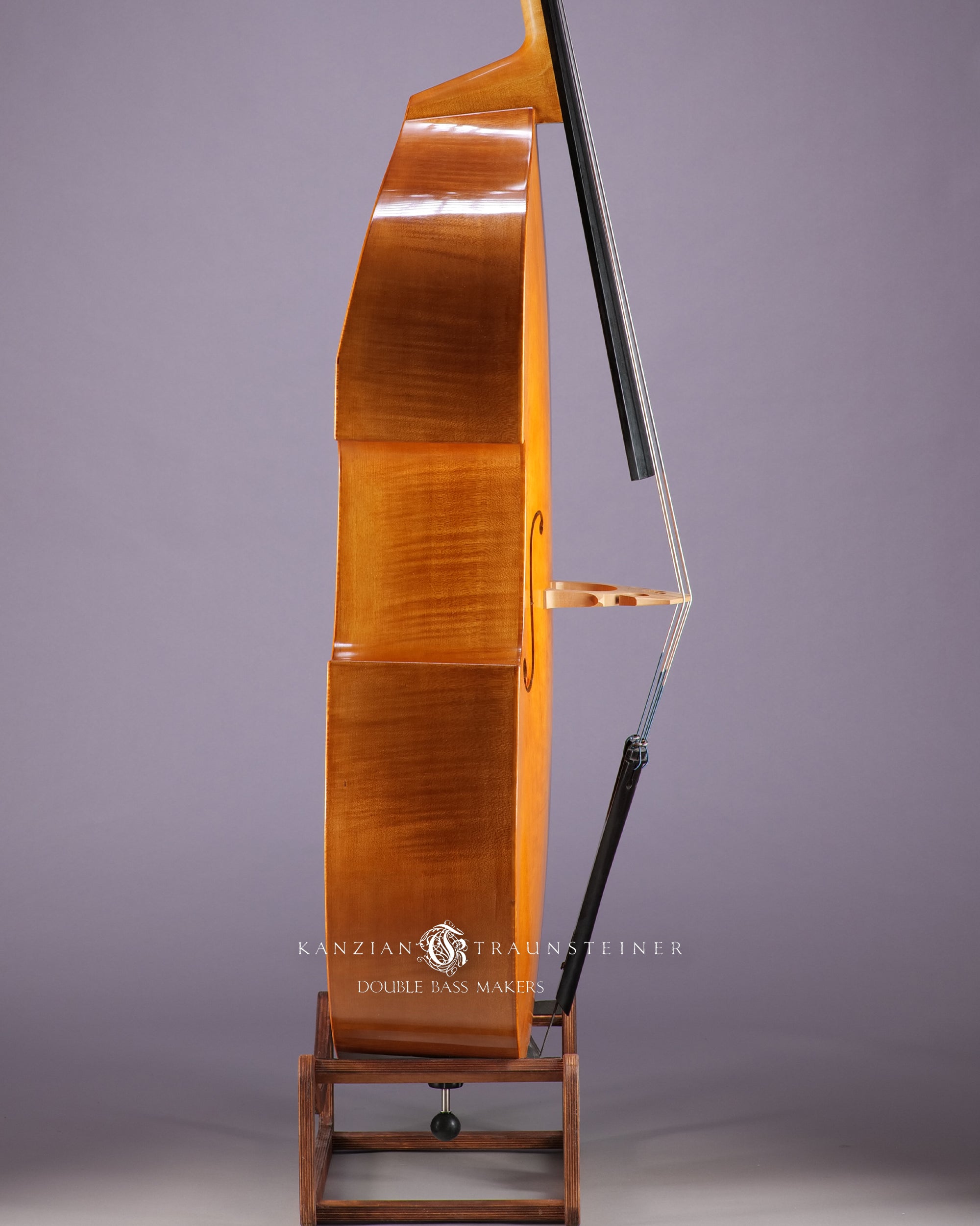 2022 Viennese K&T golden varnish - right zoomed view