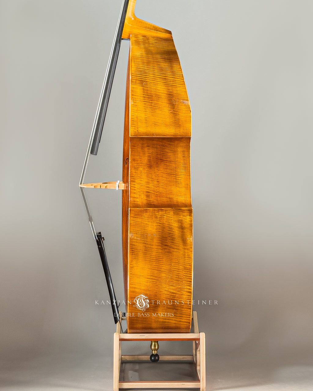 Kanzian & Traunsteiner Viennese Model Double Bass made in 2023, zoomed view of left side rib