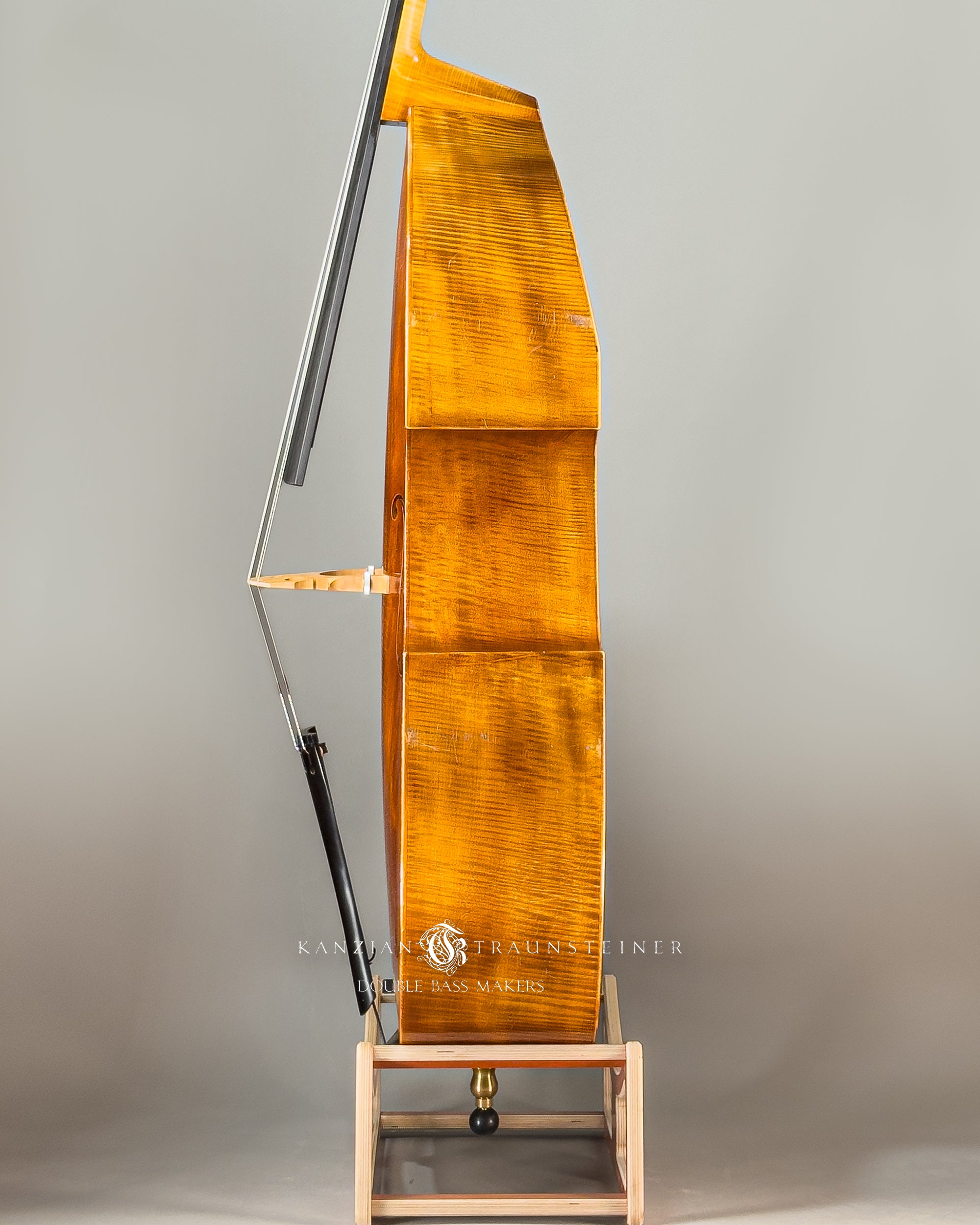 Kanzian & Traunsteiner Viennese Model Double Bass made in 2023, zoomed view of left side rib