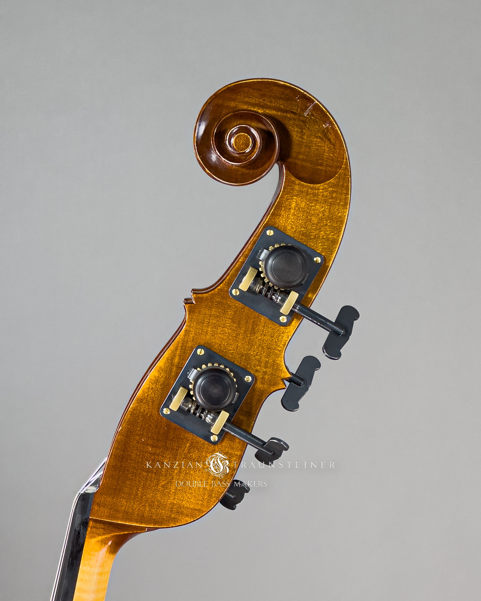 Kanzian & Traunsteiner Viennese Model Double Bass made in 2023, scroll side view from left. 