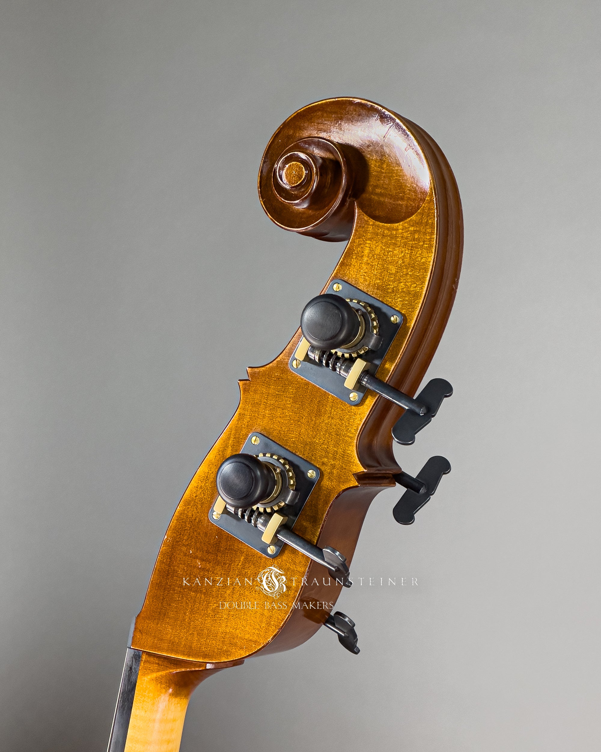 Kanzian & Traunsteiner Viennese Model Double Bass made in 2023, scroll oblique view from behind