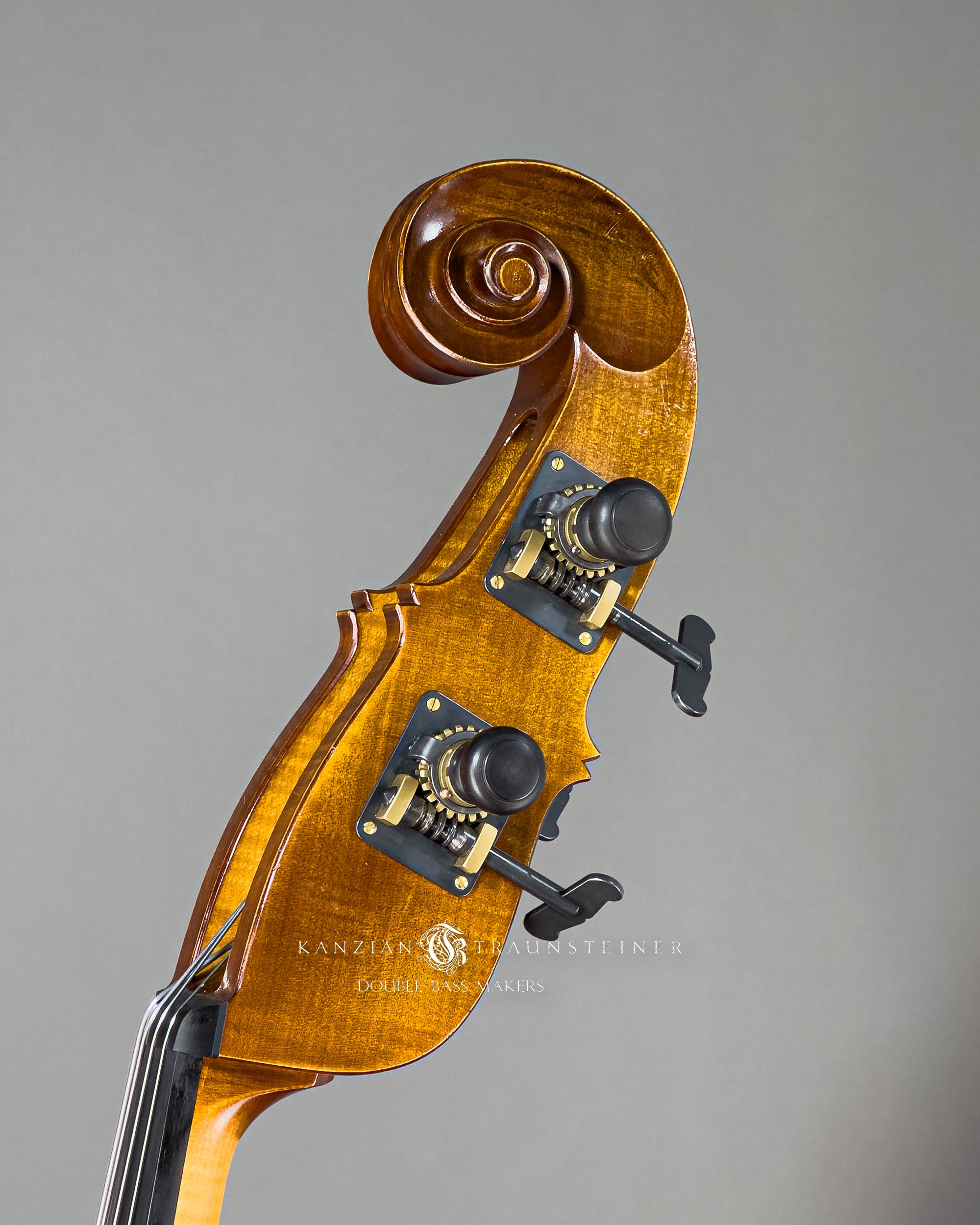 Kanzian & Traunsteiner Viennese Model Double Bass made in 2023, scroll oblique view from left. 