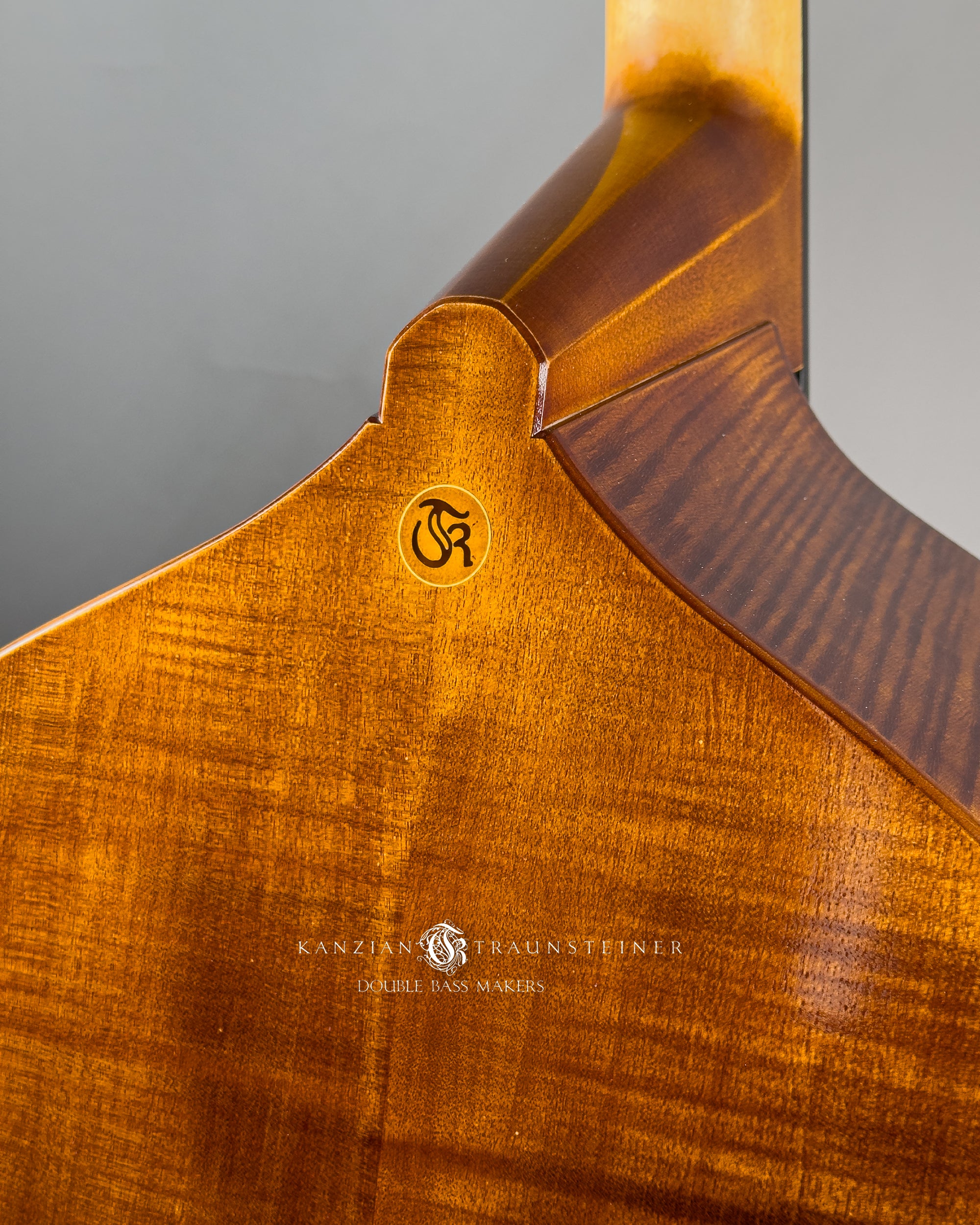 Angel Head Kanzian & Traunsteiner Viennese Model Double Bass made in 2023, back logo detail shot
