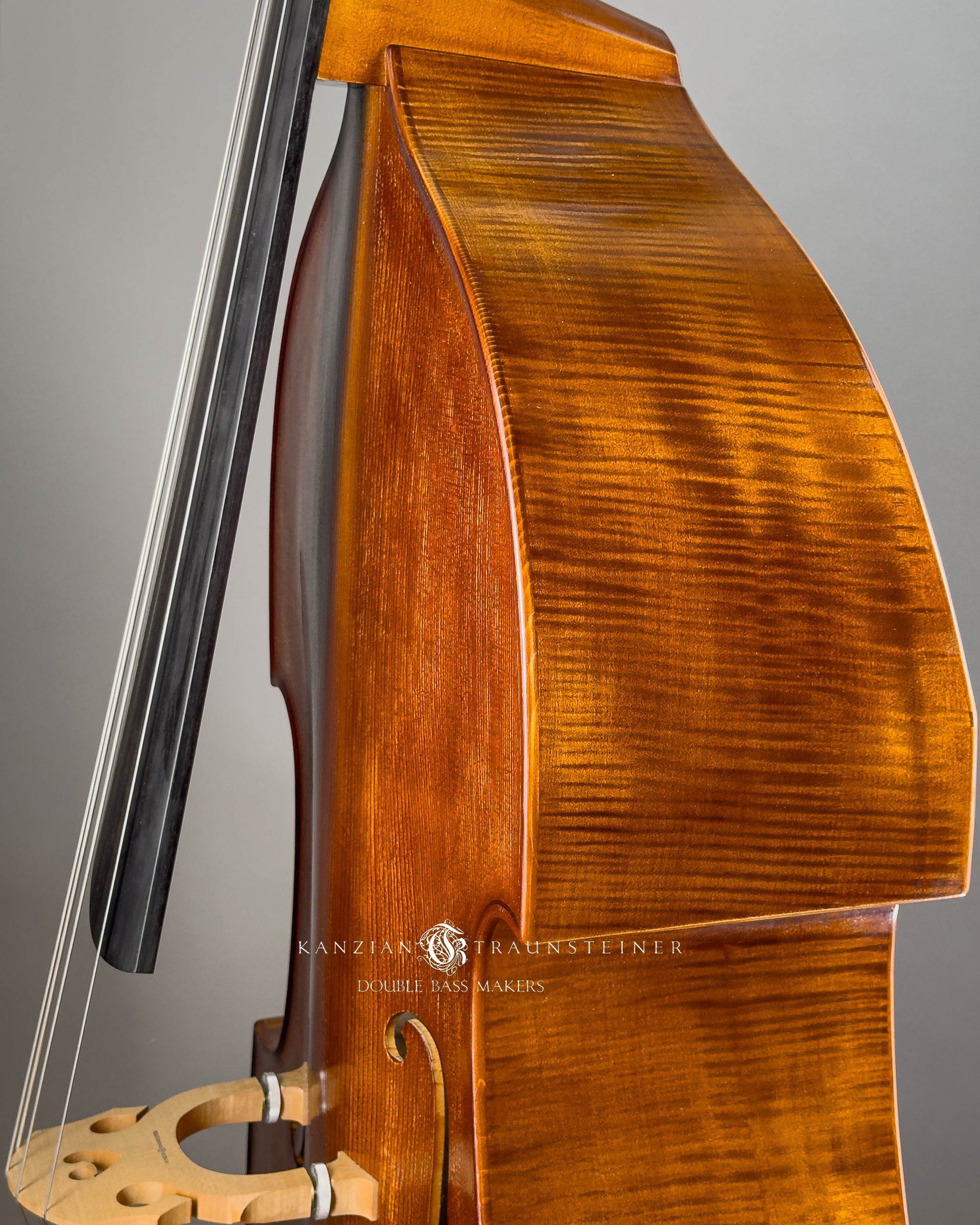 Angel Head Kanzian & Traunsteiner Viennese Model Double Bass made in 2023, left and front detail view