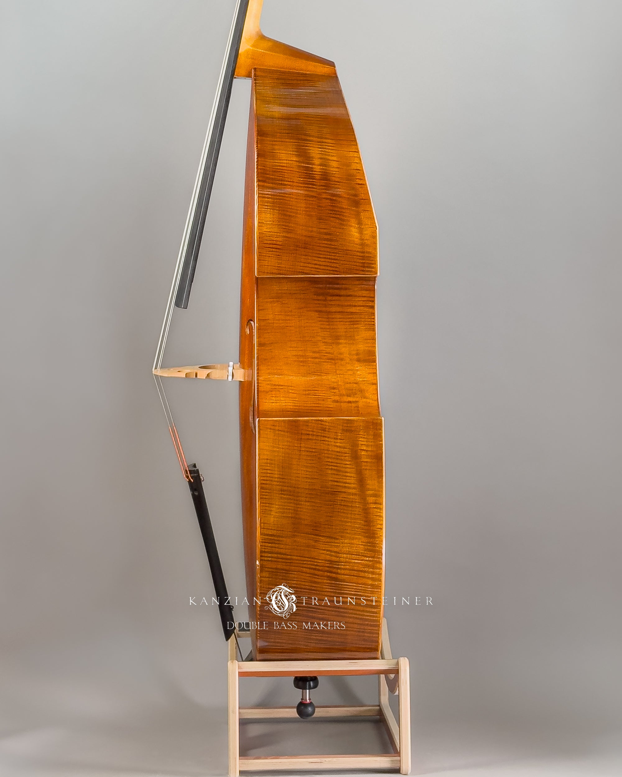 Angel Head Kanzian & Traunsteiner Viennese Model Double Bass made in 2023, left view zoomed