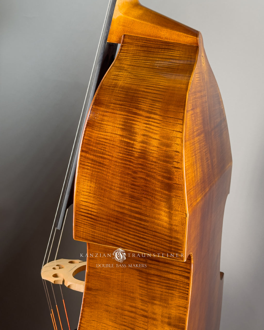 Angel Head Kanzian & Traunsteiner Viennese Model Double Bass made in 2023, view of top left rib