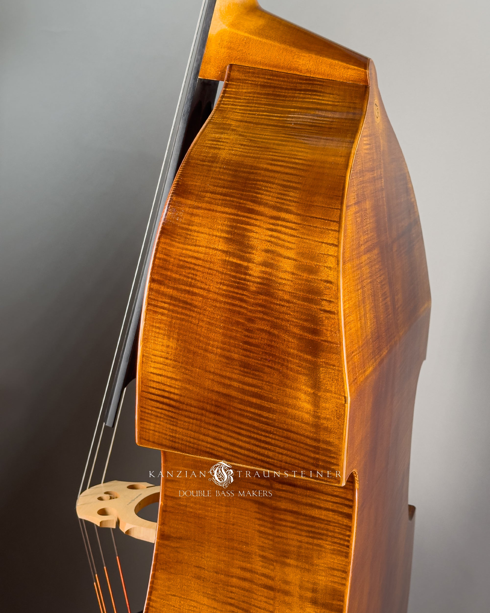 Angel Head Kanzian & Traunsteiner Viennese Model Double Bass made in 2023, view of top left rib
