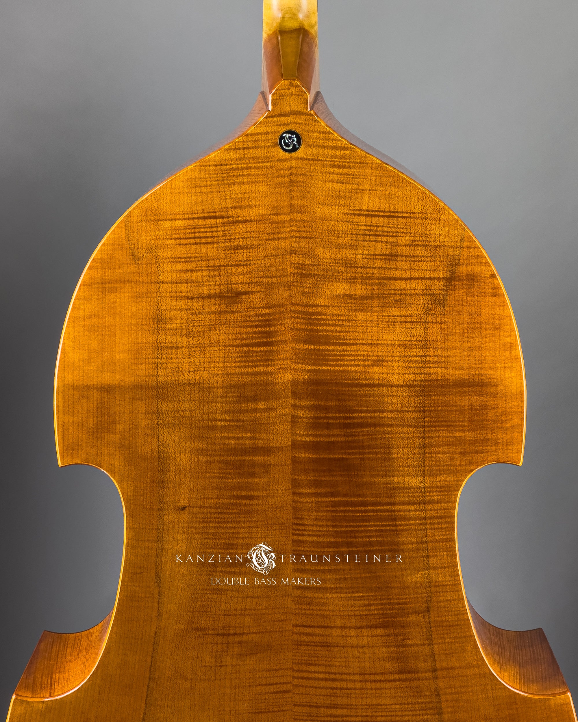 2025 K&T Blond Viennese with extension back wood and logo