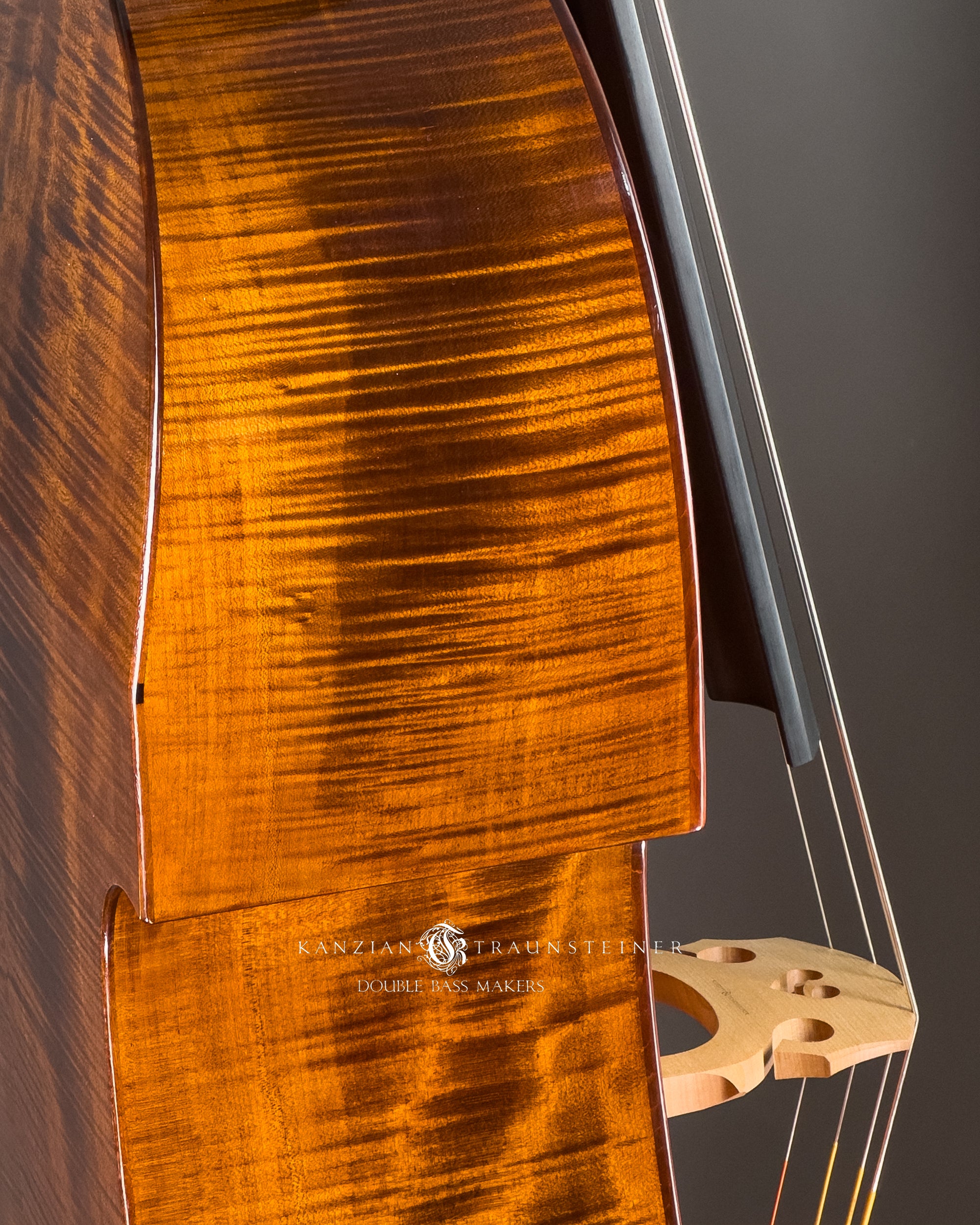 right shoulder detail No. 25 Viennese Model by Kanzian & Traunsteiner double bass makers, made in 2025
