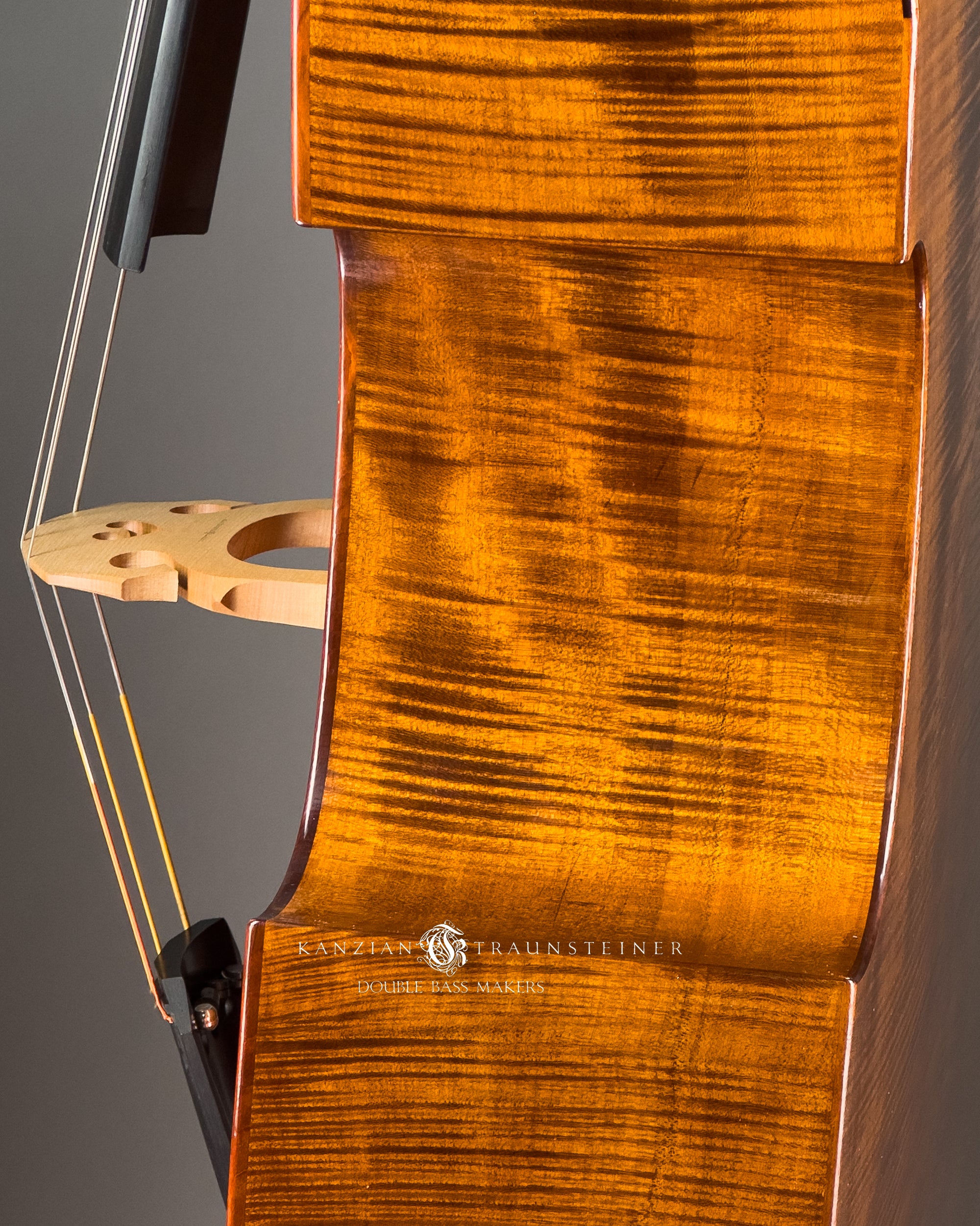 Left side feature in No. 25 Viennese Model by Kanzian & Traunsteiner double bass makers, made in 2025