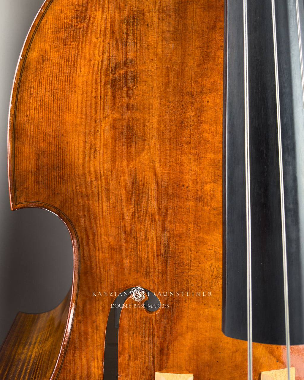 front particular in No. 25 Viennese Model by Kanzian & Traunsteiner double bass makers, made in 2025