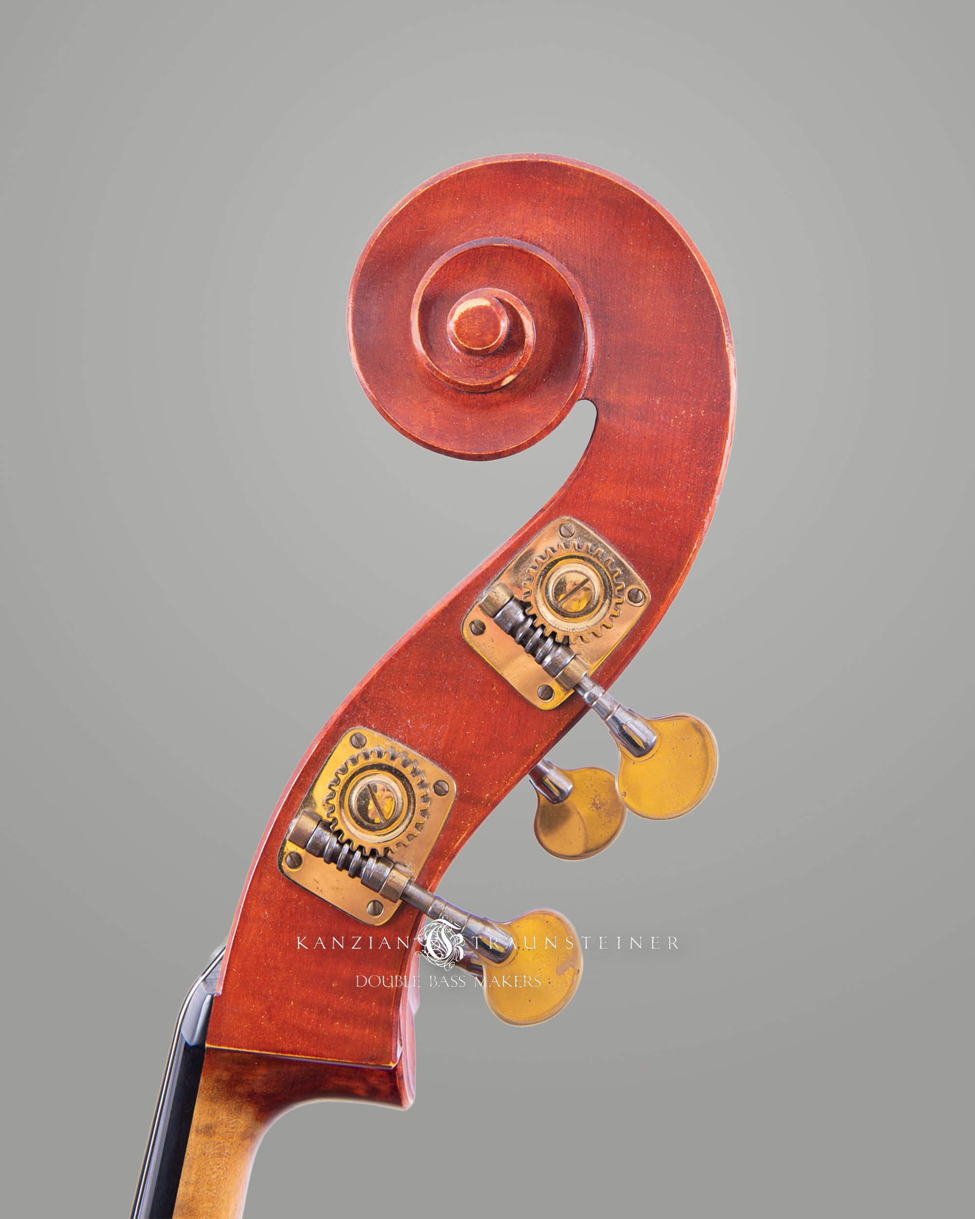 First Alex Kanzian double bass from 2011, scroll left side view