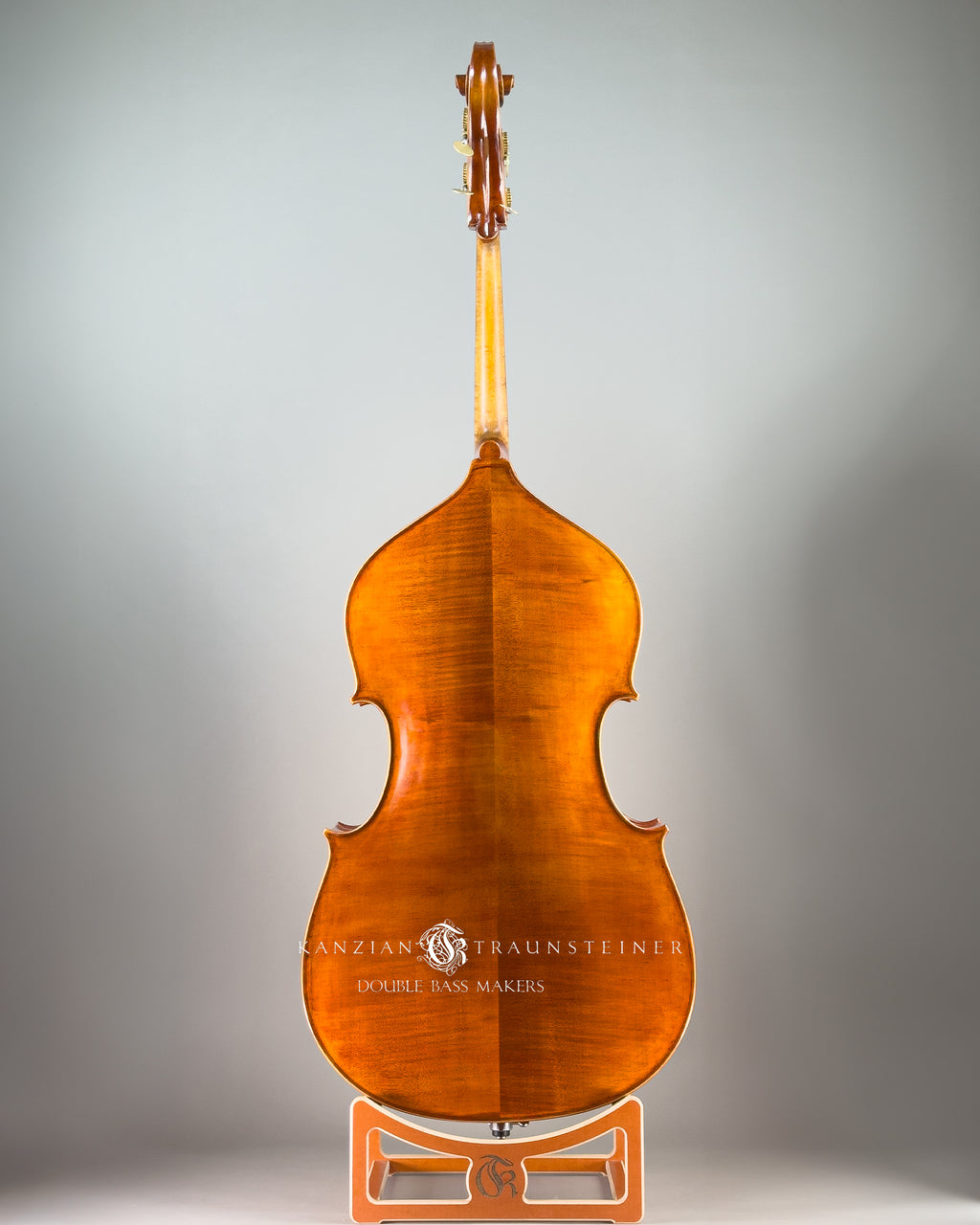 Amati Model Double bass 2024 - Back