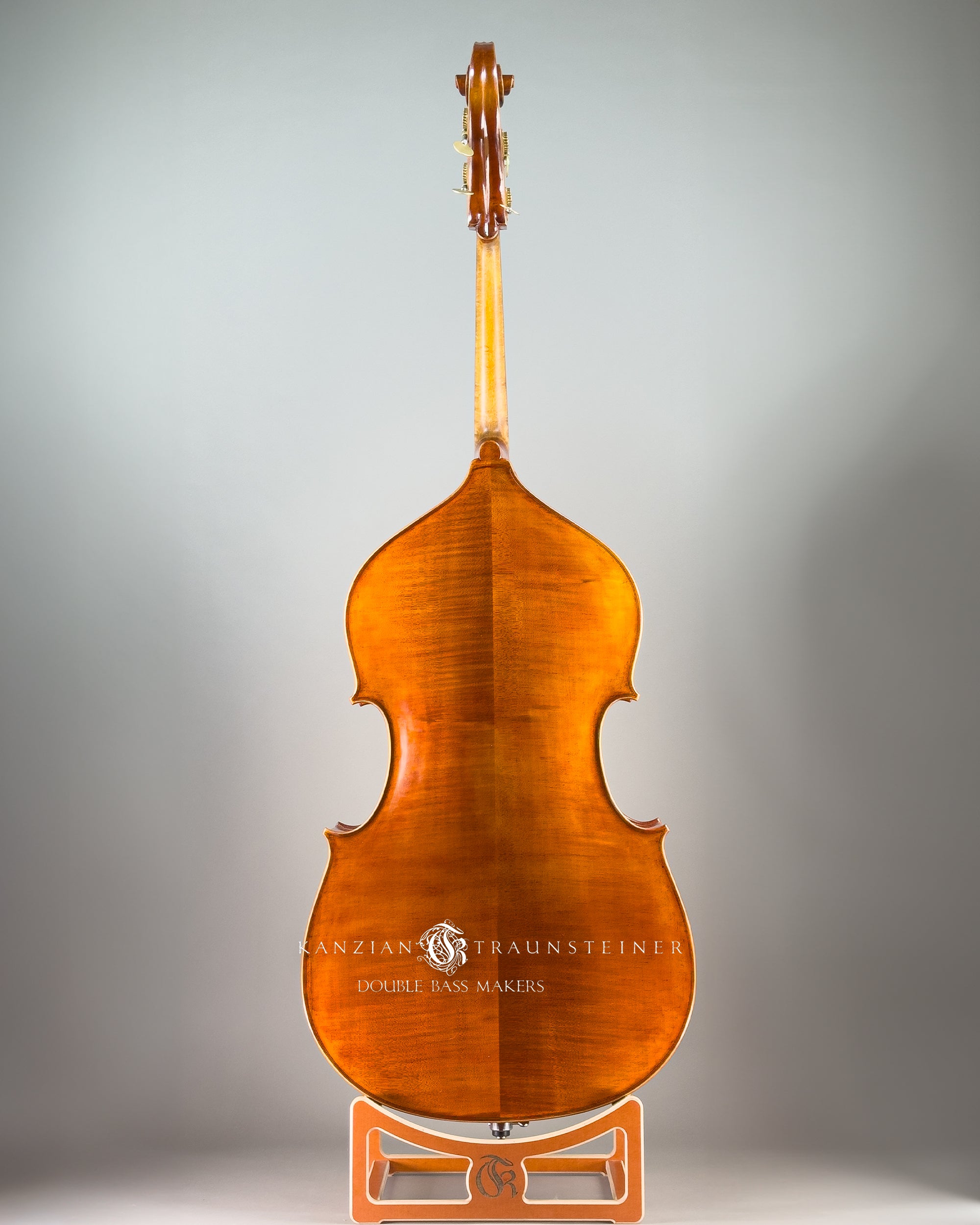 Amati Model Double bass 2024 - Back