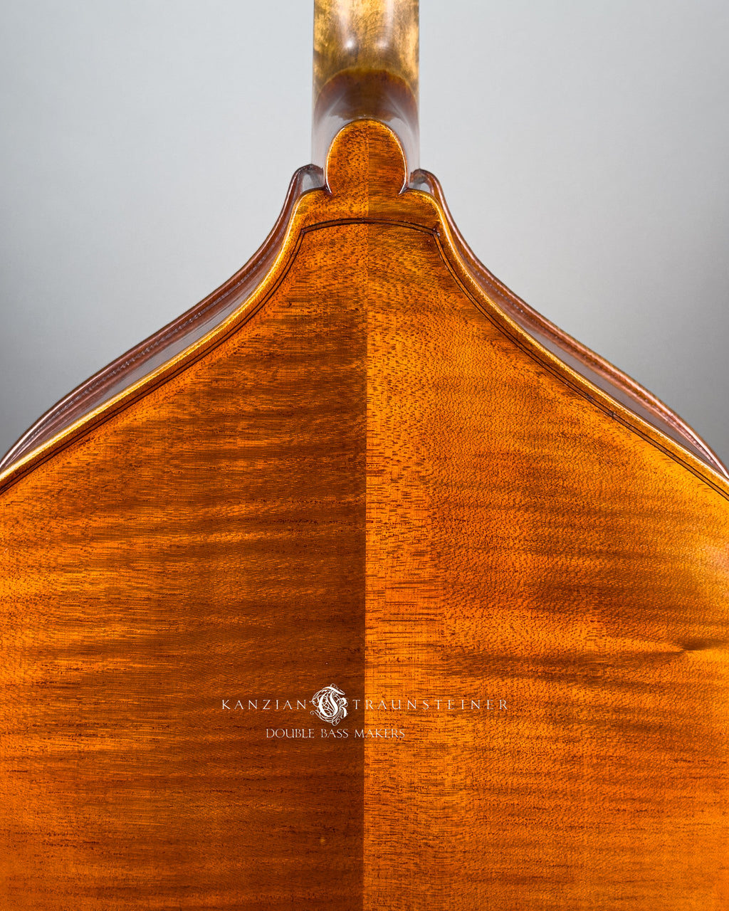 Amati Model Double bass 2024 - Back Detail