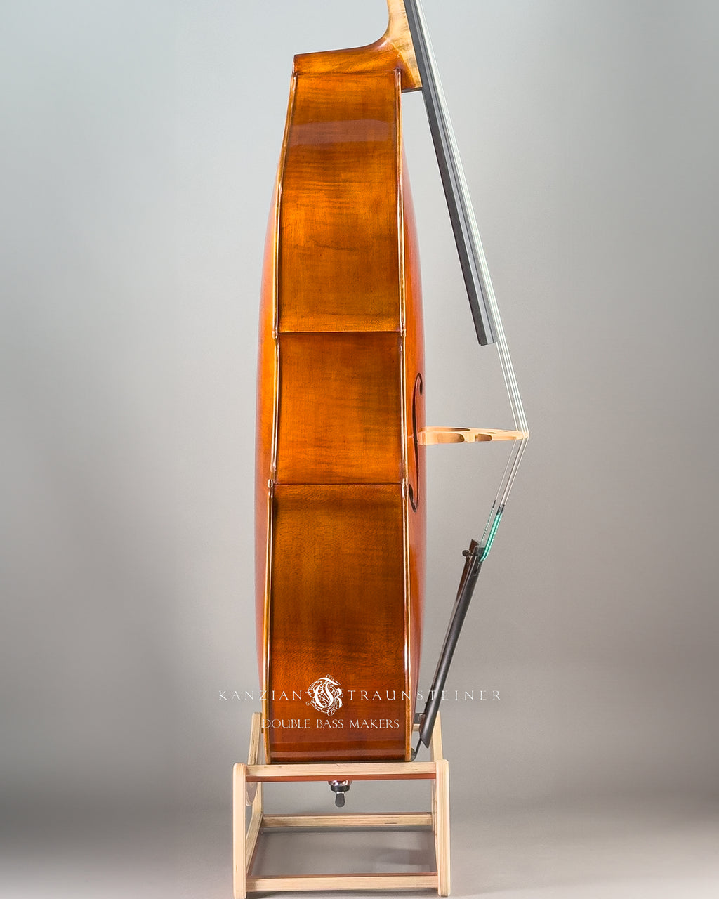 Amati Model Double bass 2024 - Right Zoomed