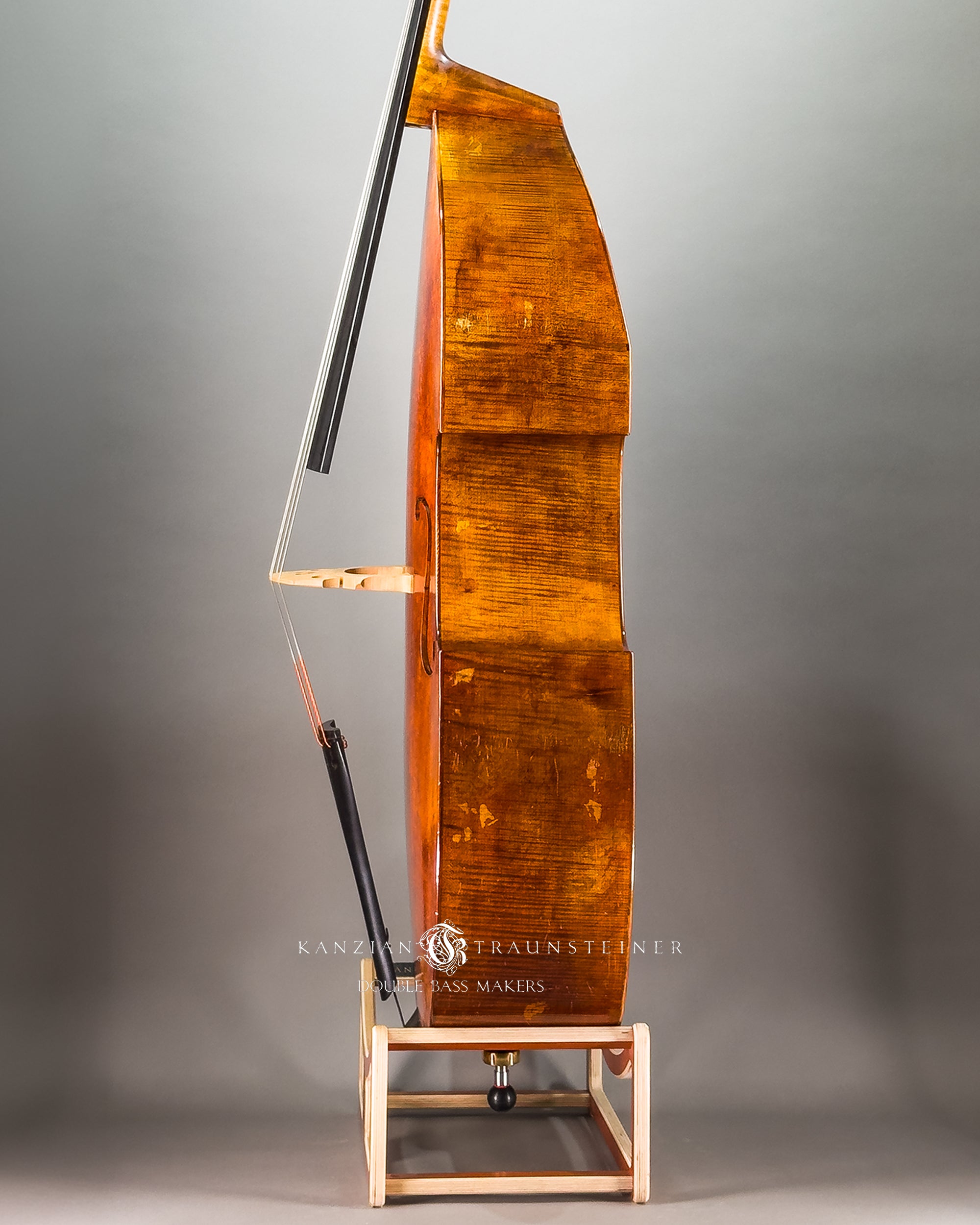 left side ribs of Kanzian & Traunsteiner 2026 Antique Viennese Model double bass