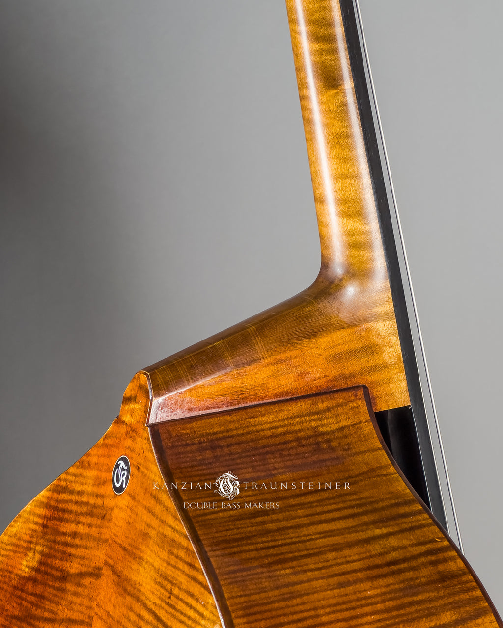 neck insert detail of Kanzian & Traunsteiner 2026 Antique Viennese Model double bass