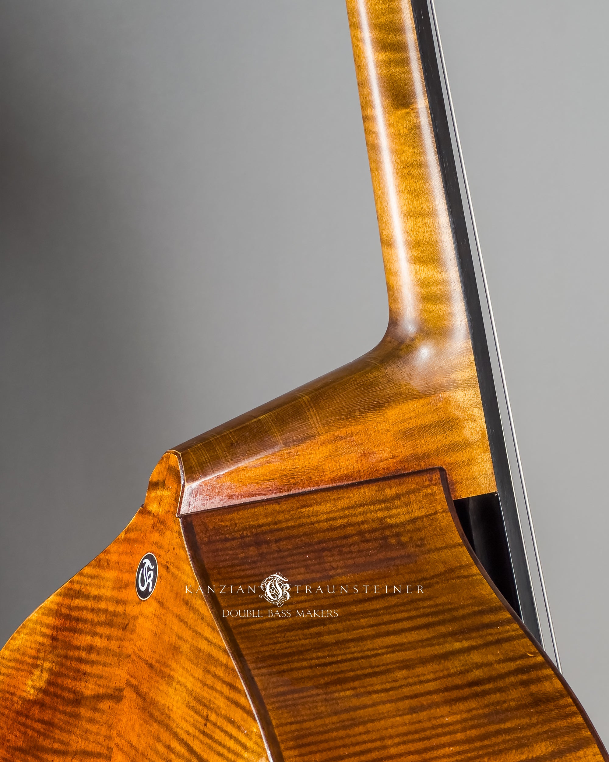 neck insert detail of Kanzian & Traunsteiner 2026 Antique Viennese Model double bass