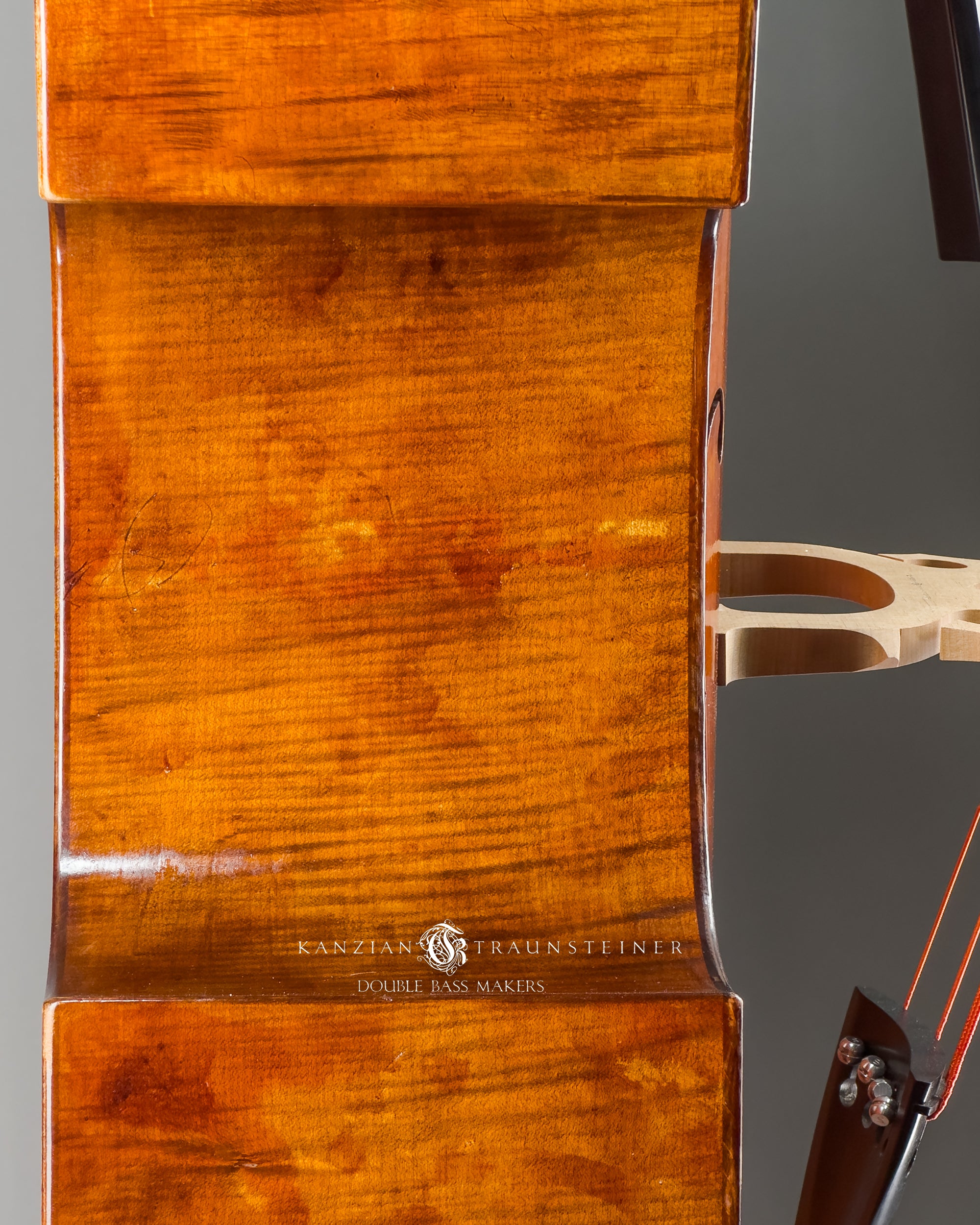 Kanzian & Traunsteiner 2026 Antique Viennese Model double bass close up of right side rib and wood finish