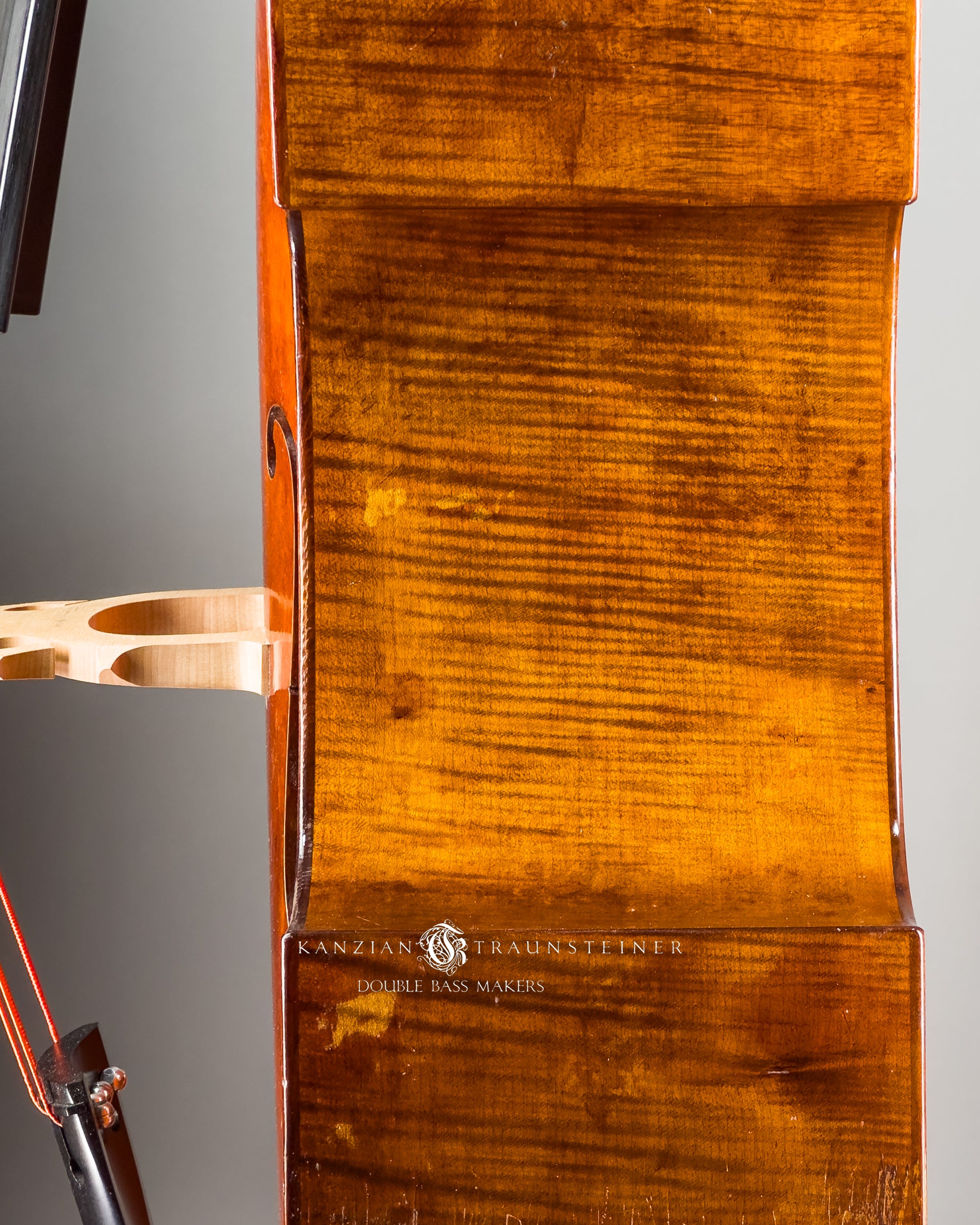 Kanzian & Traunsteiner 2026 Antique Viennese Model double bass rib wood close up