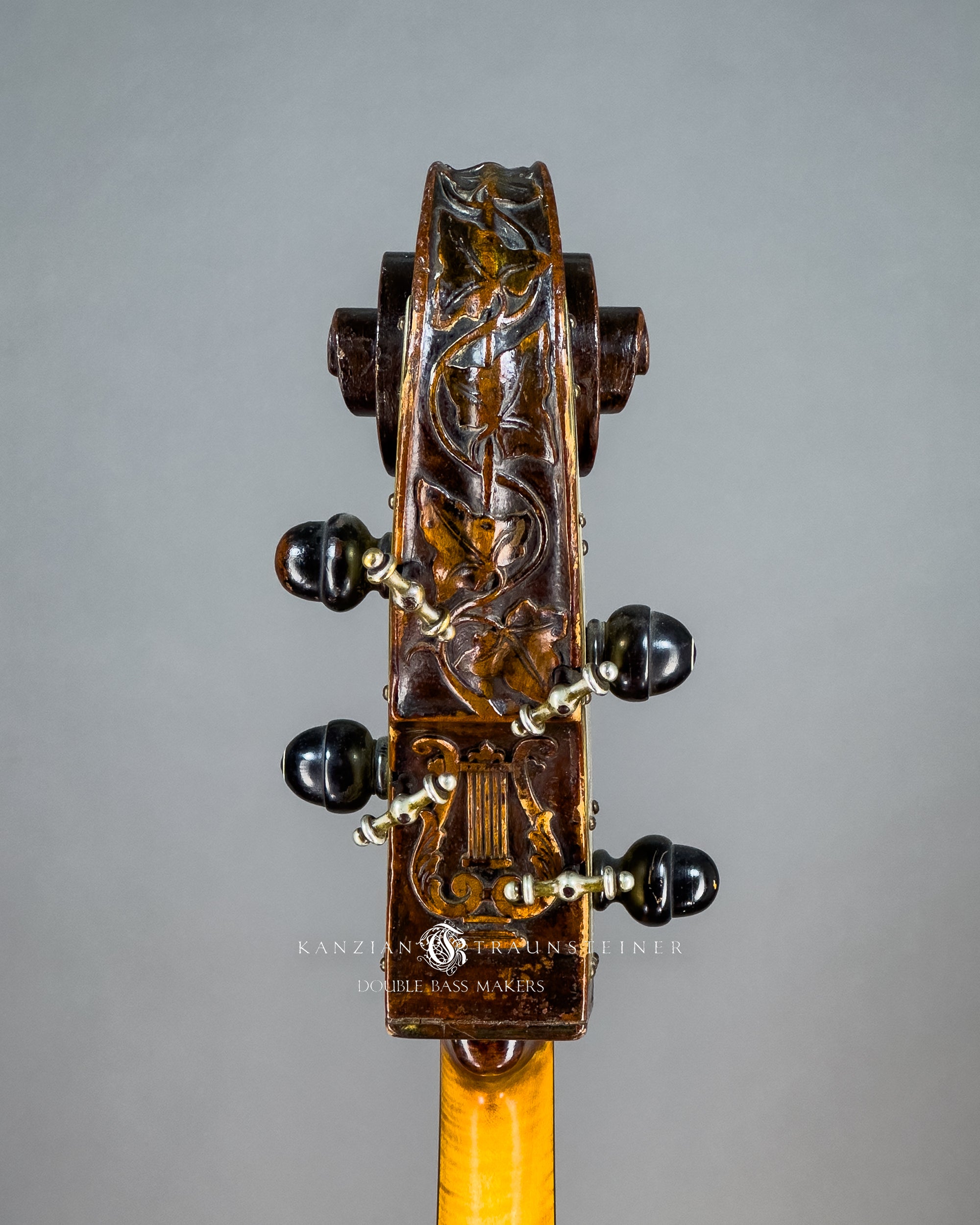 Attributed to Anton Bachmann double bass ca. 1780, scroll view from back