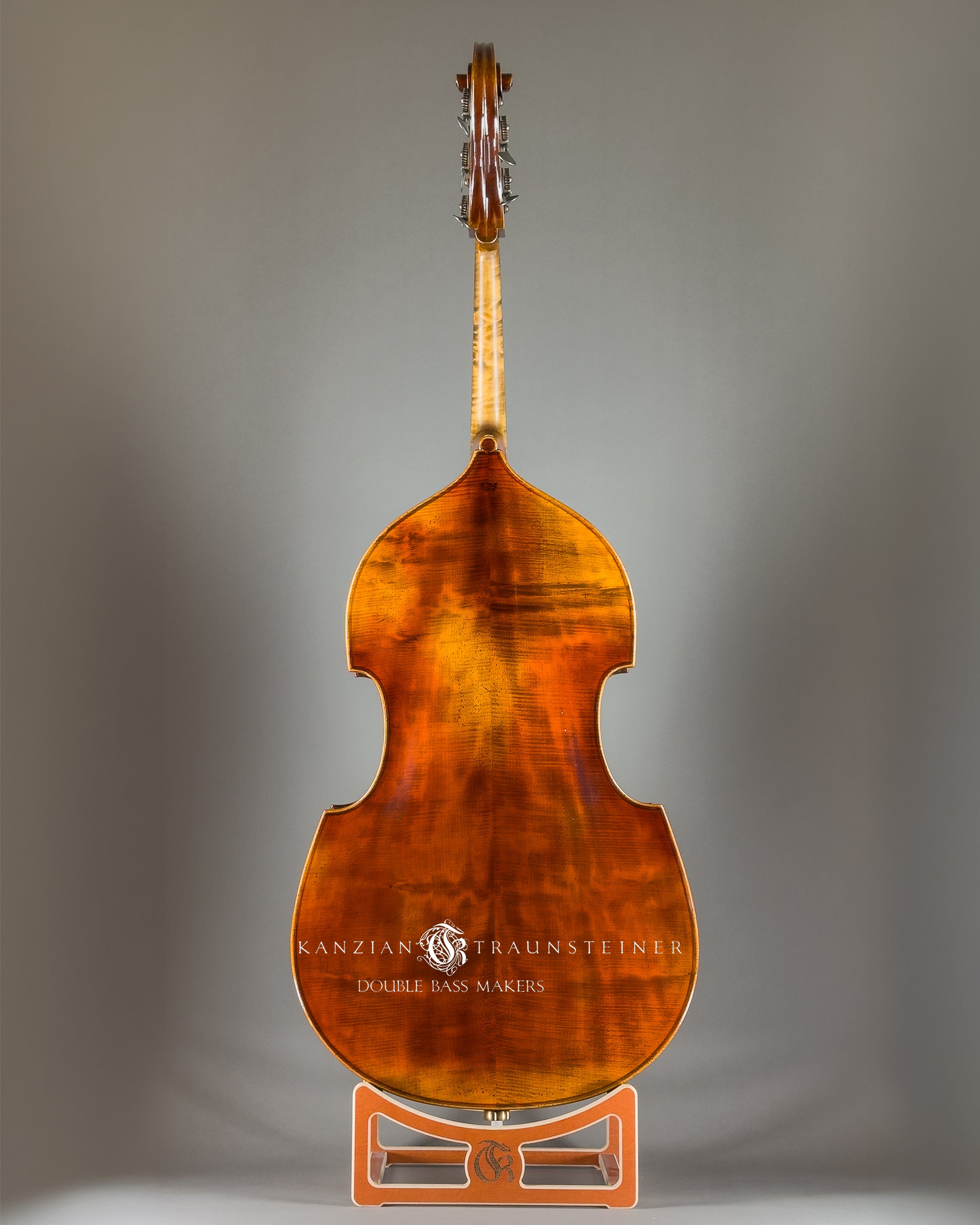 B.Stoll Milano 5S Concert wood quality , back full view