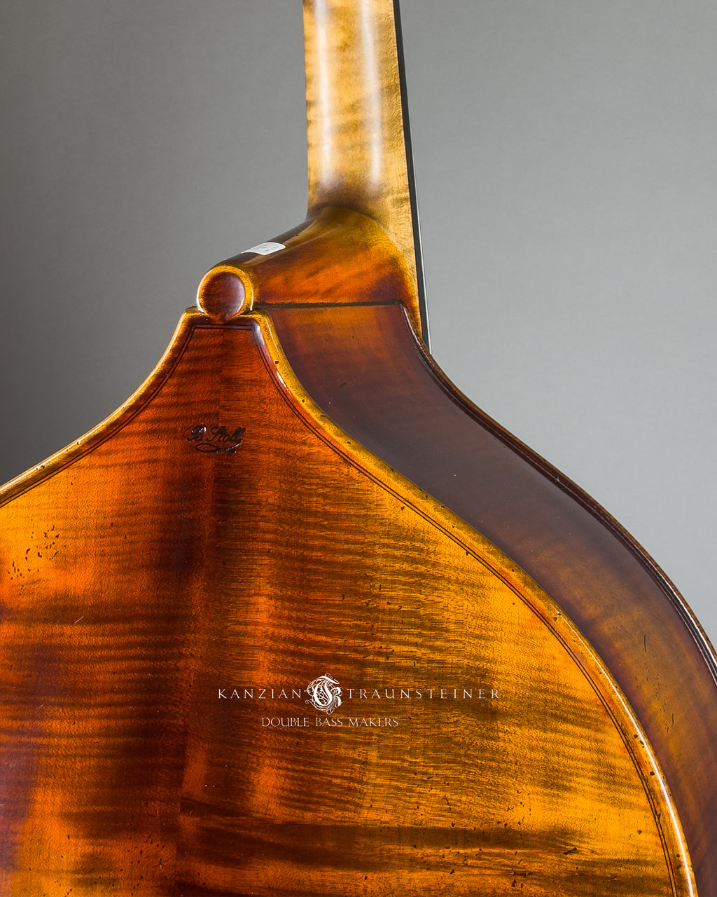 B.Stoll Milano 5S Concert wood quality , back detail