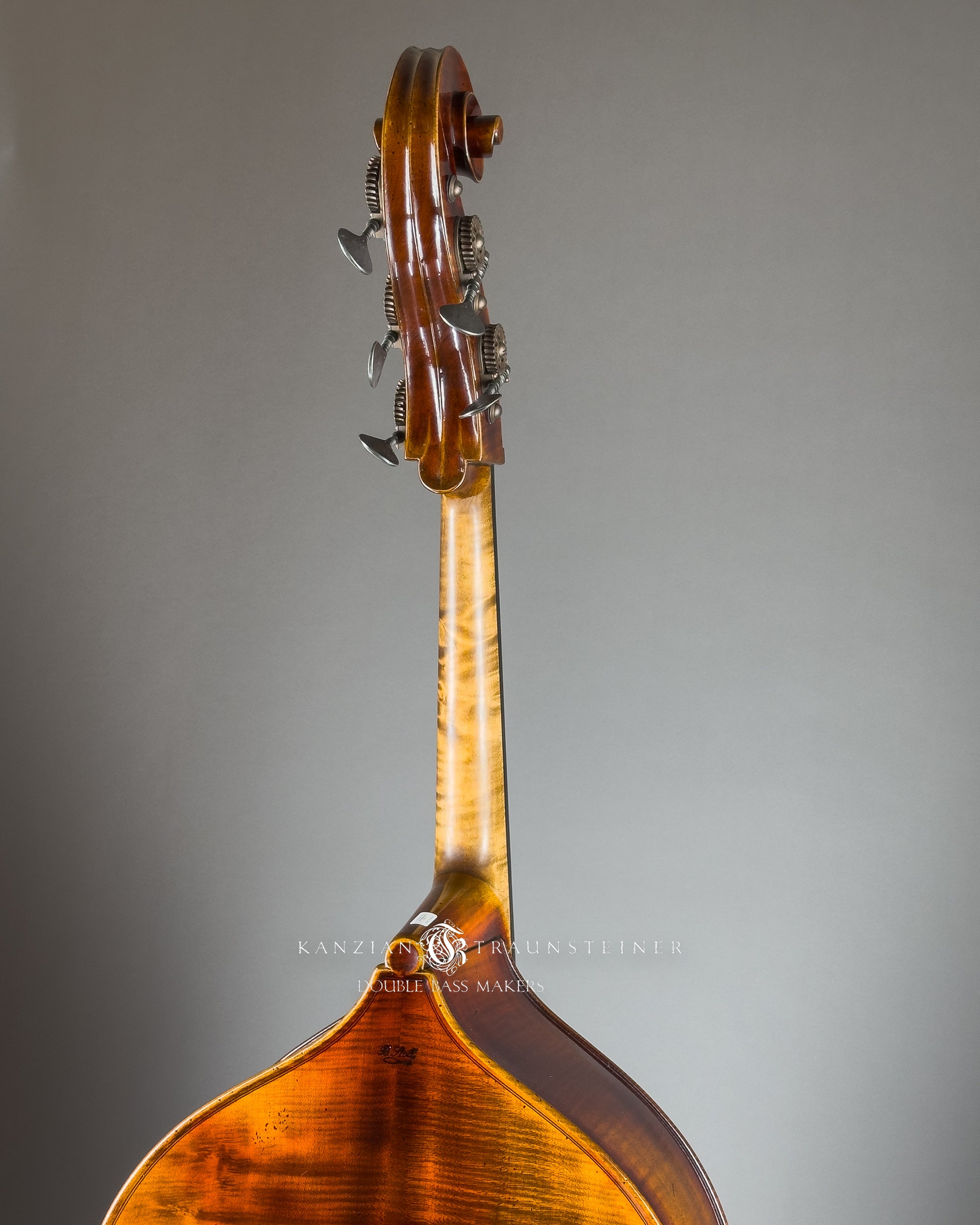 B.Stoll Milano 5S Concert wood quality , neck wood 