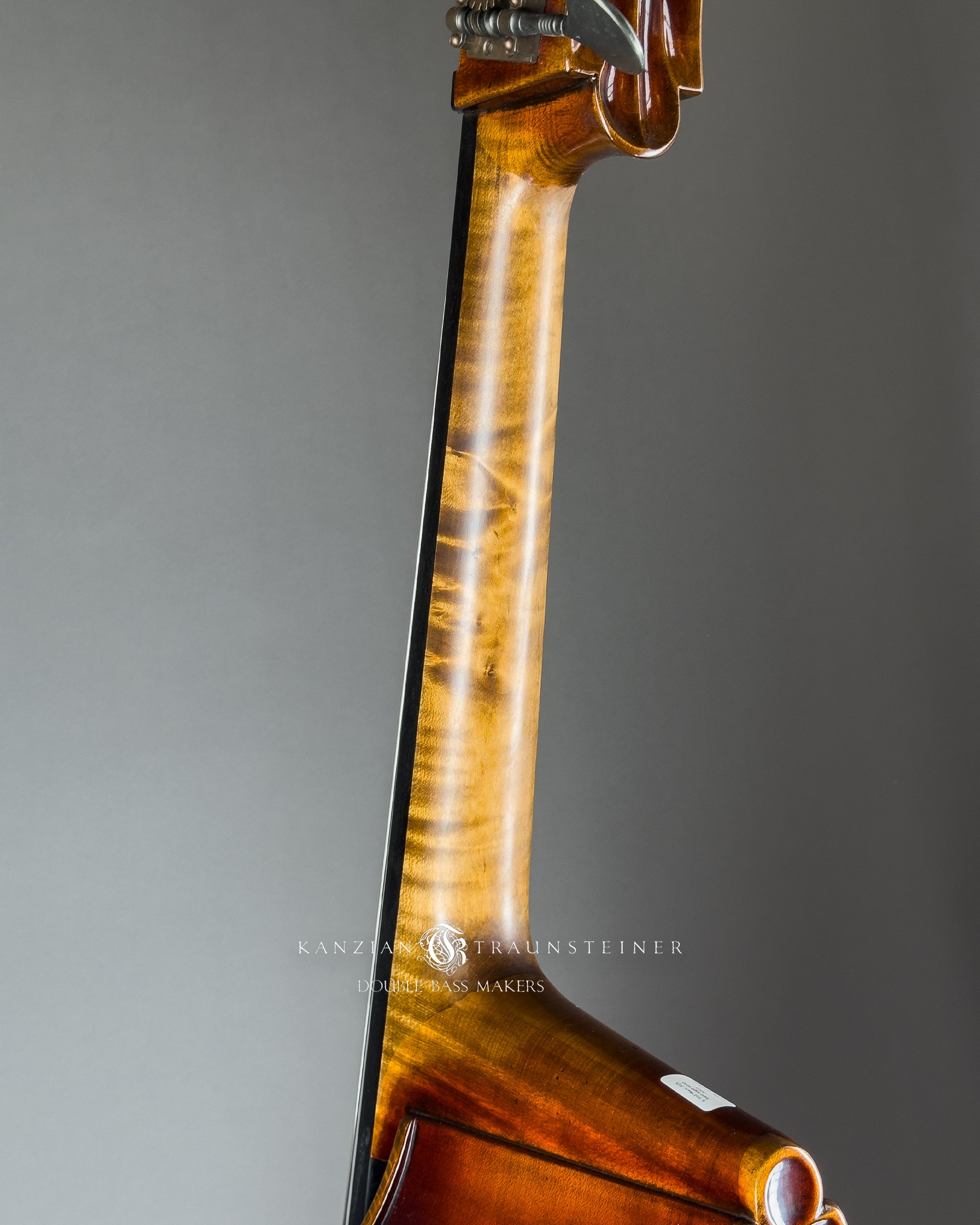 B.Stoll Milano 5S Concert wood quality , neck
