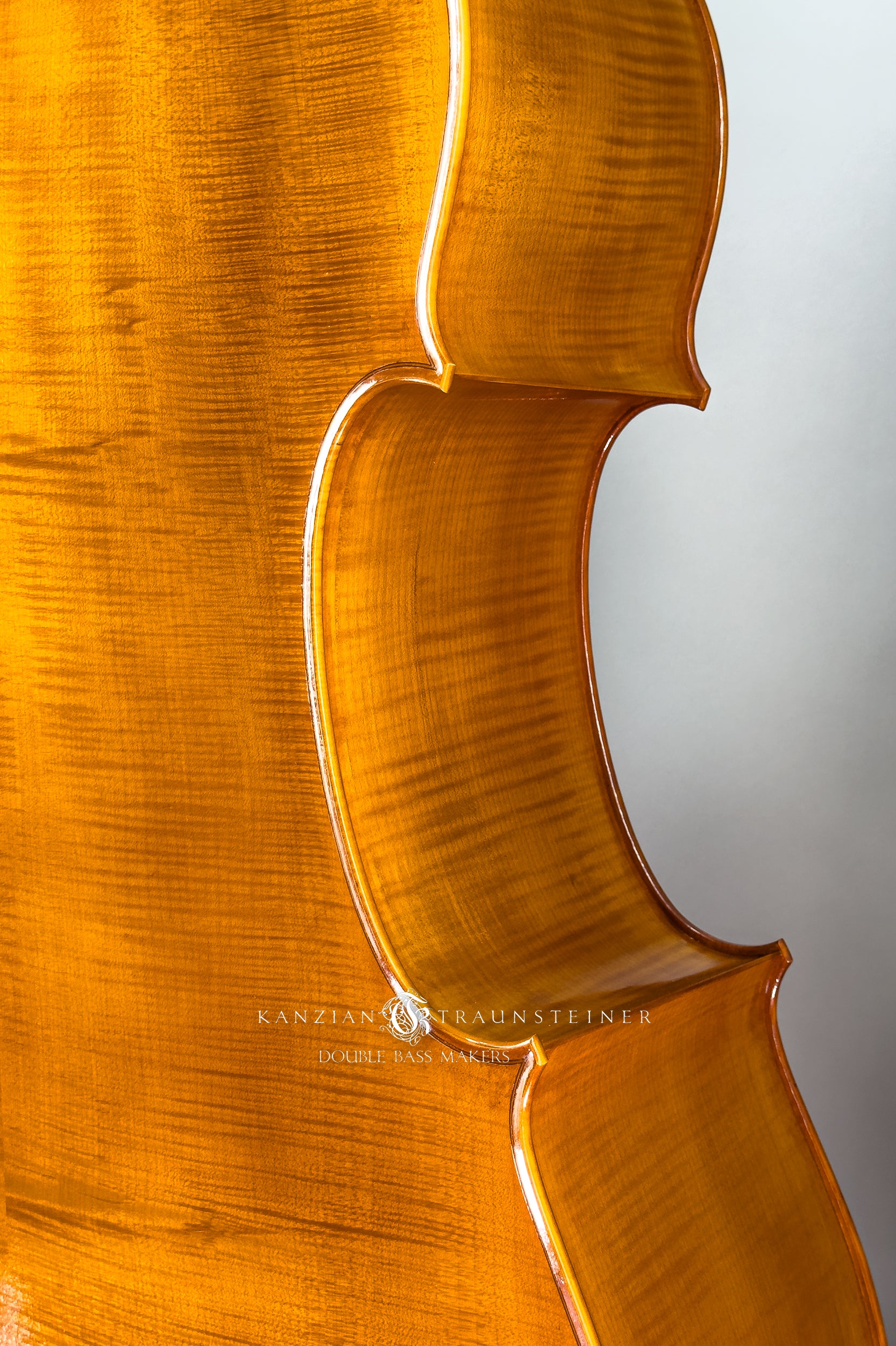Kanzian & Traunsteiner - Italian Model Double Bass 2023 - Detail