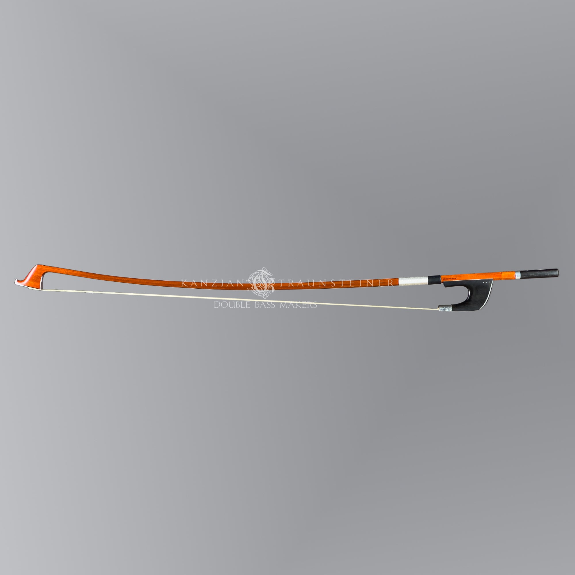 Niels Røine, Norway 2026