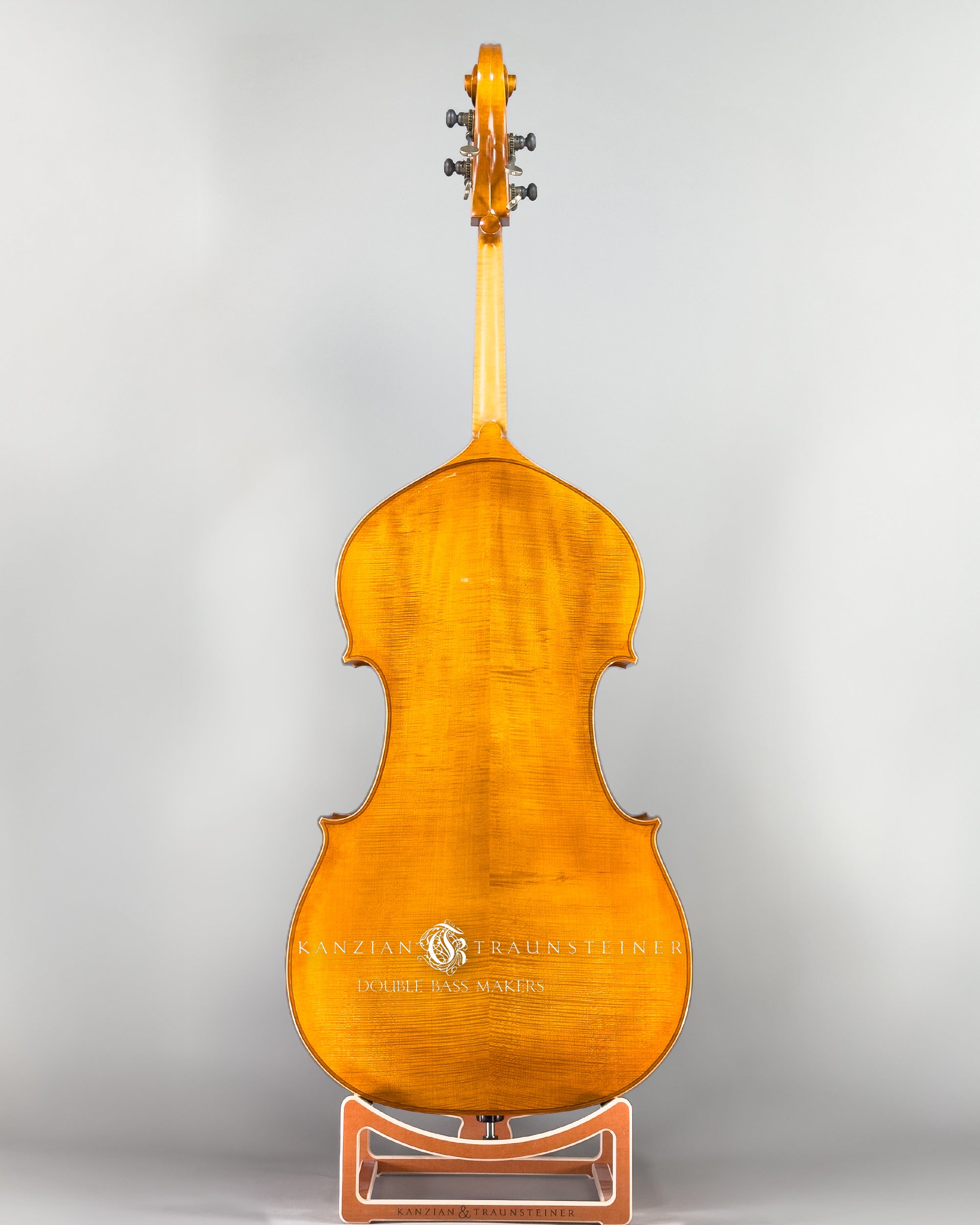 K&T Italian Model Double Bass from 2023: total back view
