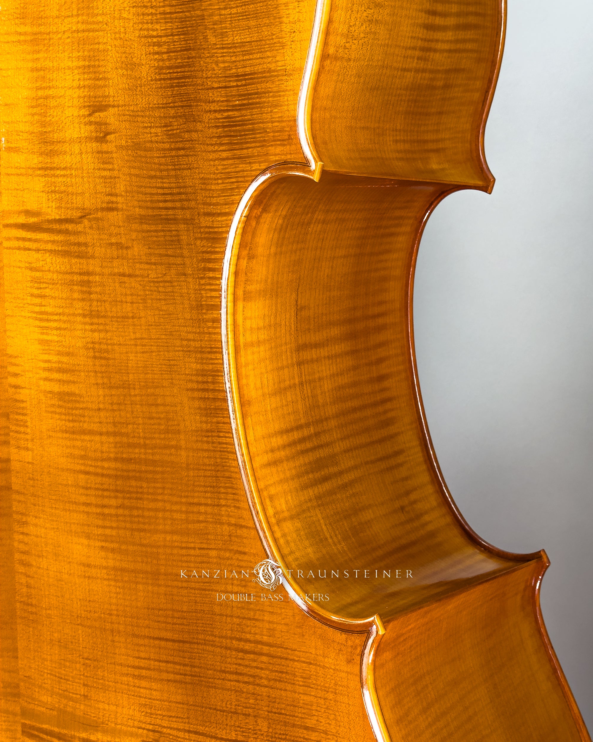 K&T Italian Model Double Bass from 2023: C bout 