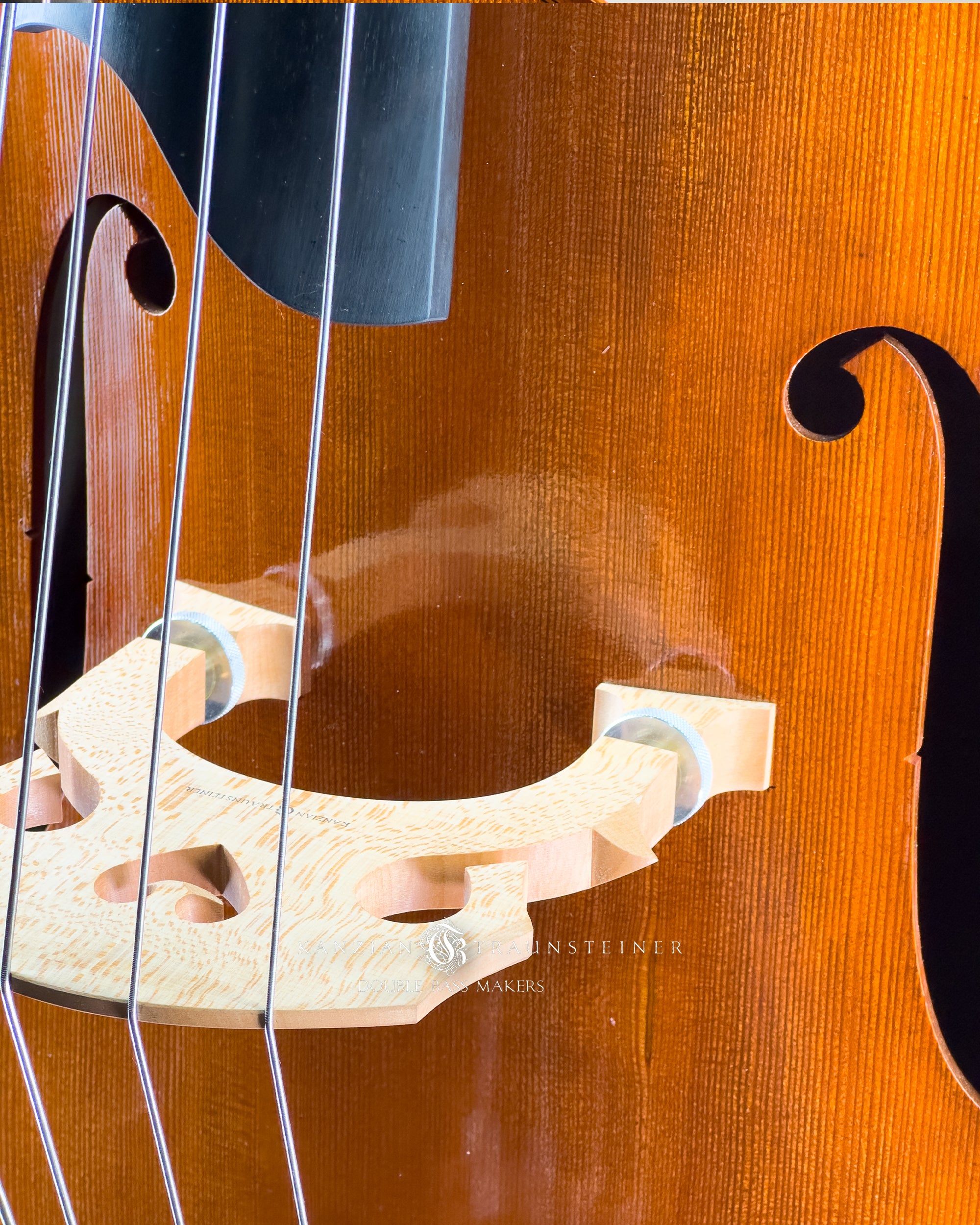 K&T Italian Model Double Bass from 2023: bridge