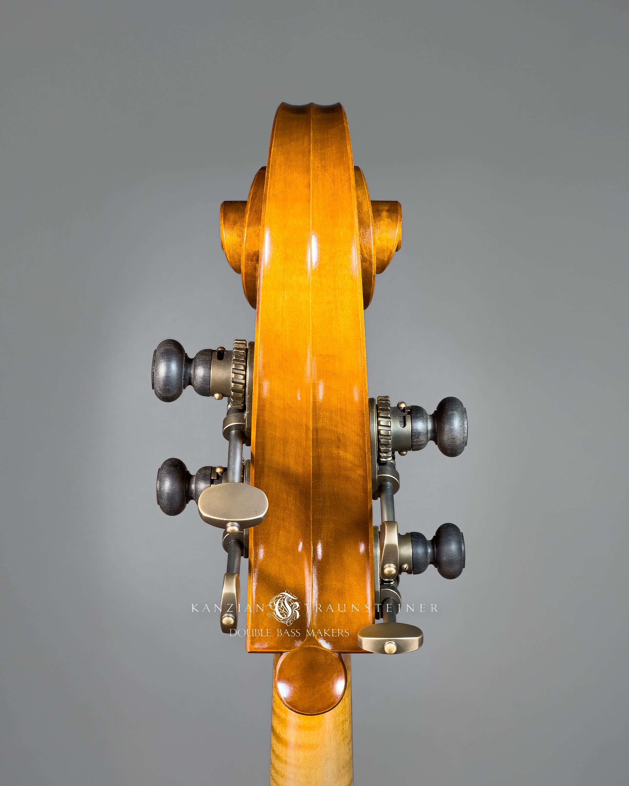 K&T Italian Model Double Bass from 2023 view of scroll from back