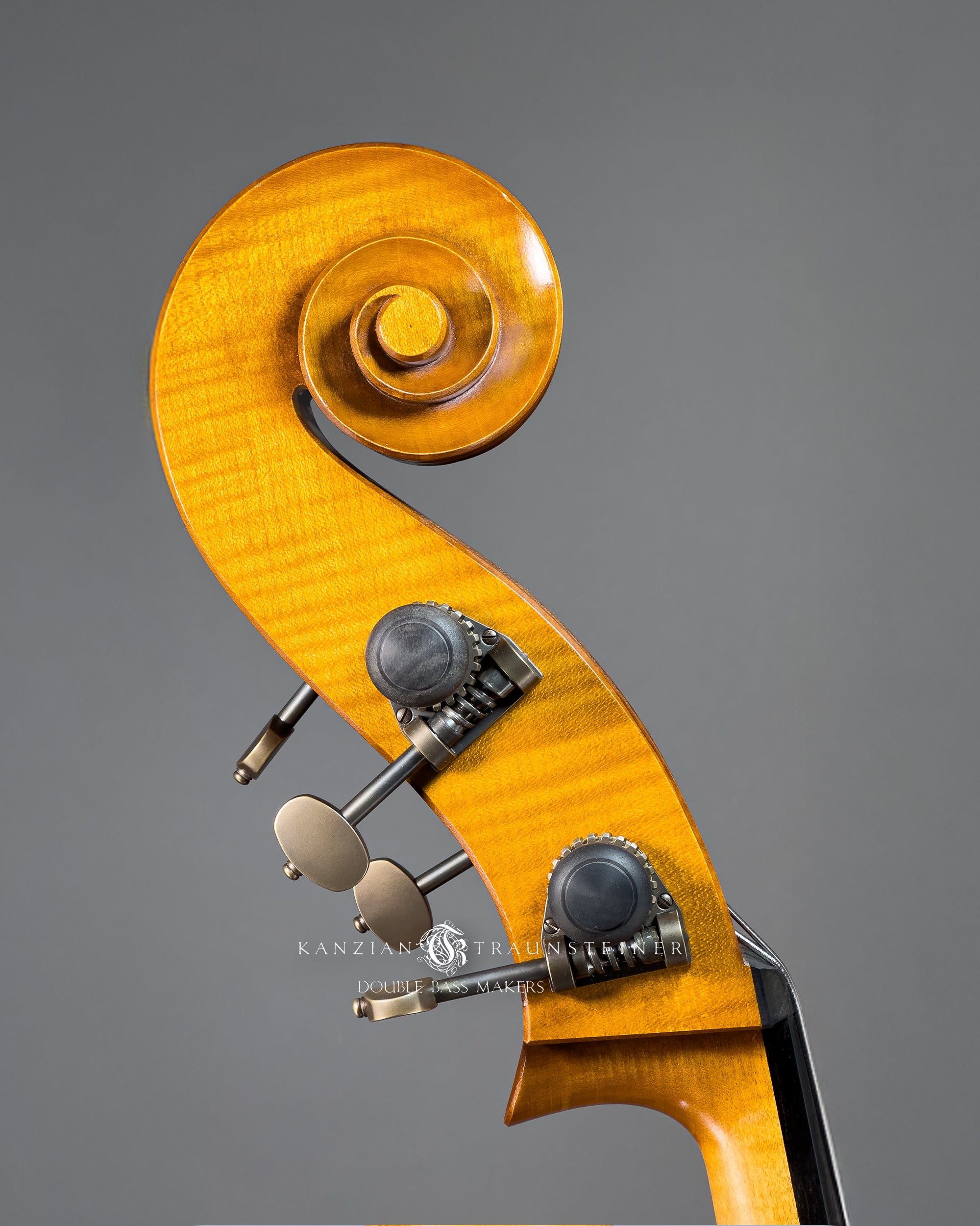 K&T Italian Model Double Bass from 2023 scroll right side view