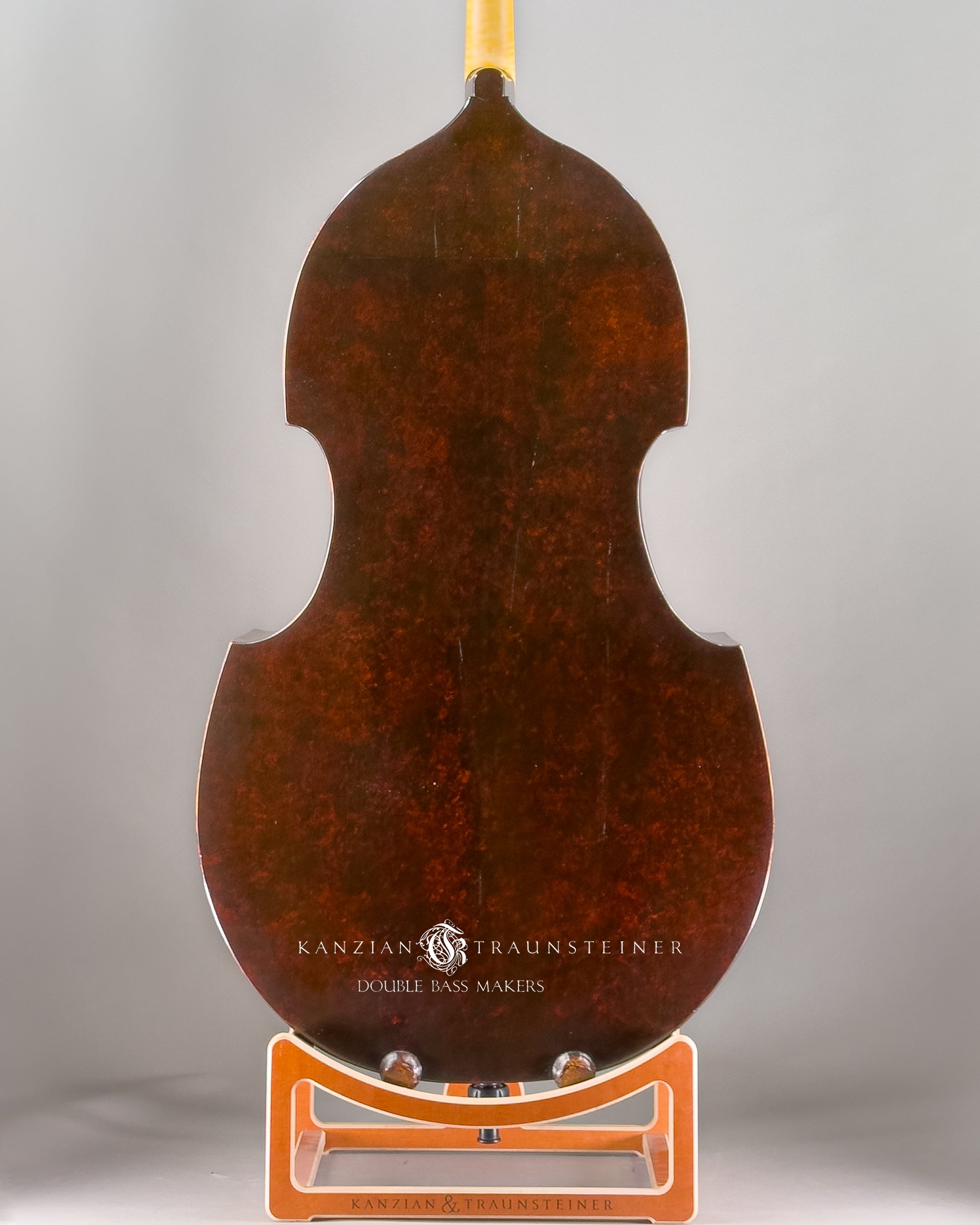 Jakob Stöhr Double Bass dated 1830, back view zoomed