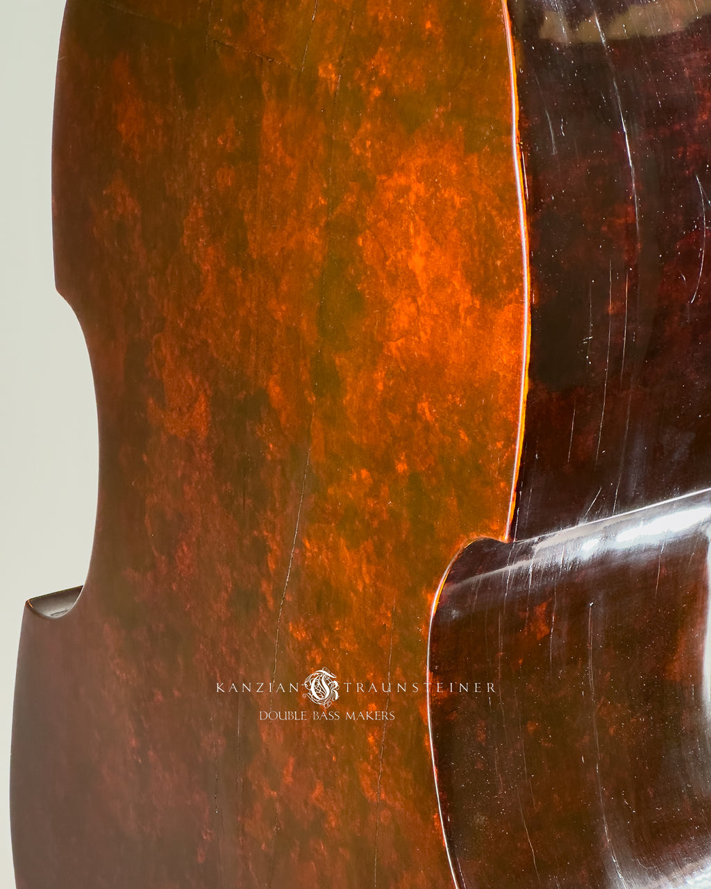 Jakob Stöhr, 5 strings Double Bass dated 1830, back detail