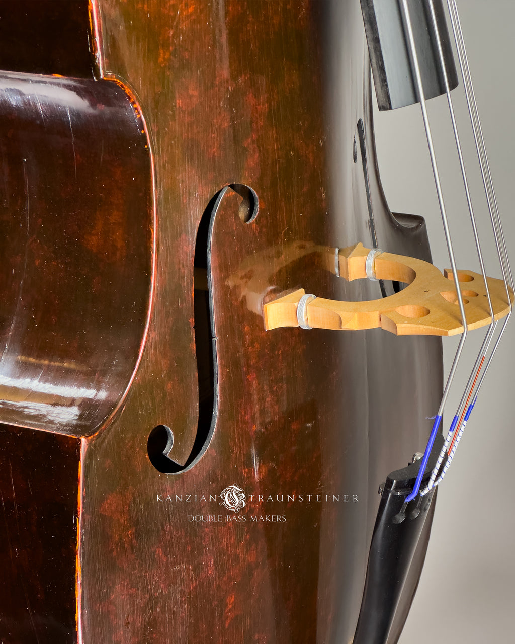 Jakob Stöhr, 5 strings Double Bass dated 1830, detail of front table