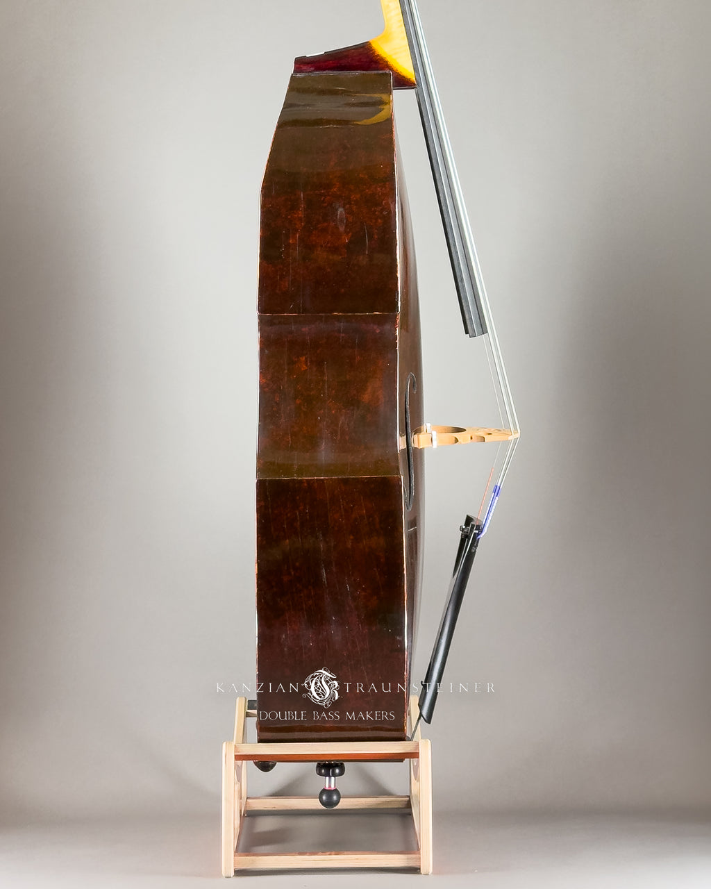 Jakob Stöhr, 5 strings Double Bass dated 1830, right rib zoomed view