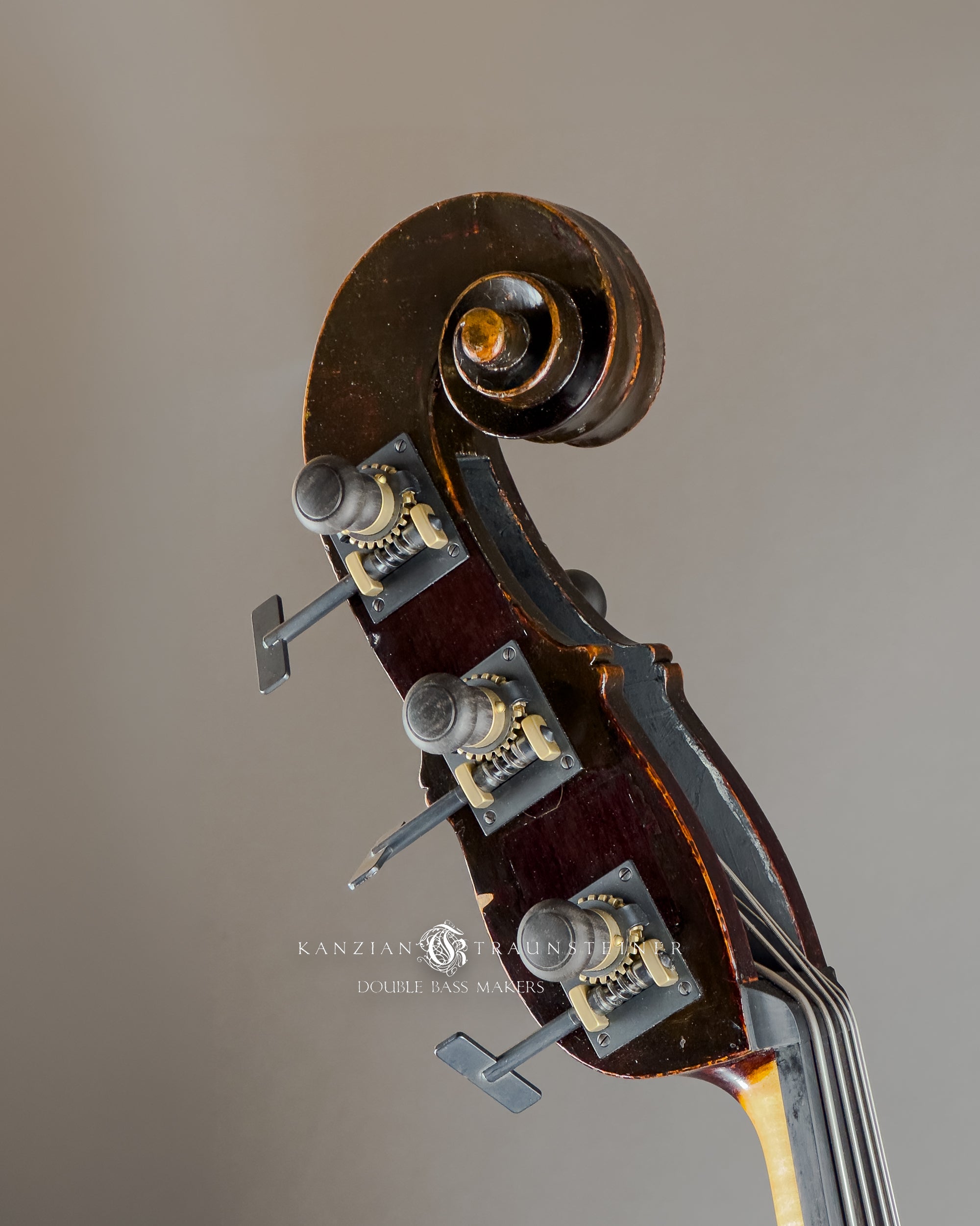 Jakob Stöhr, 5 strings Double Bass dated 1830, oblique scroll view