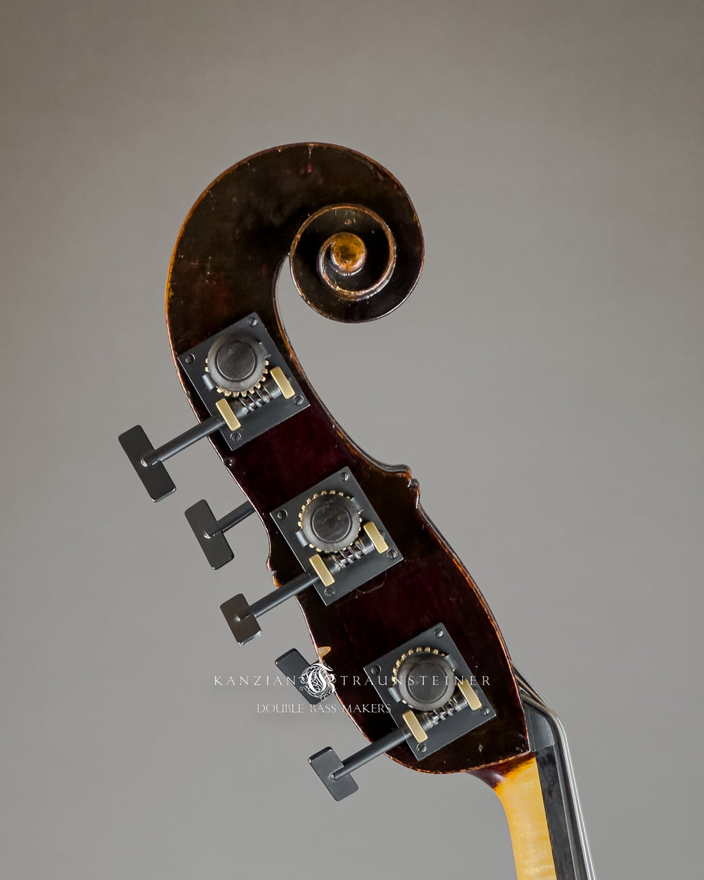 Jakob Stöhr, 5 strings Double Bass dated 1830, view of scroll from righ
